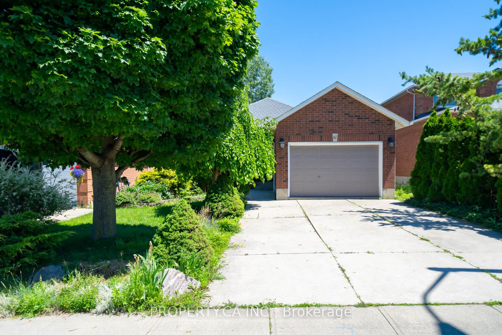 Listing 205135 Image