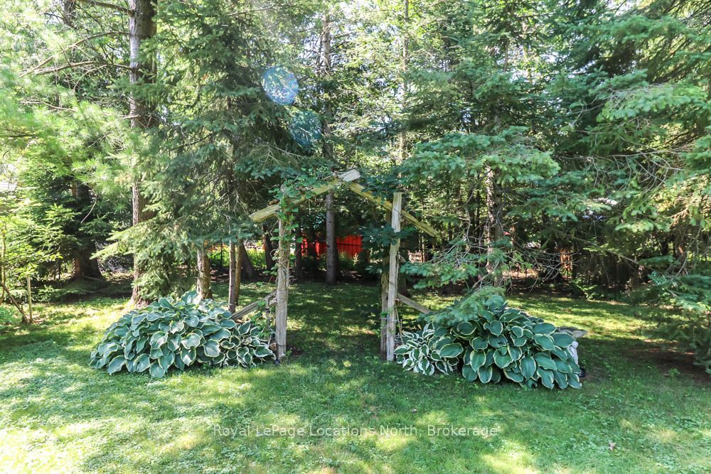 Listing 199971 Image