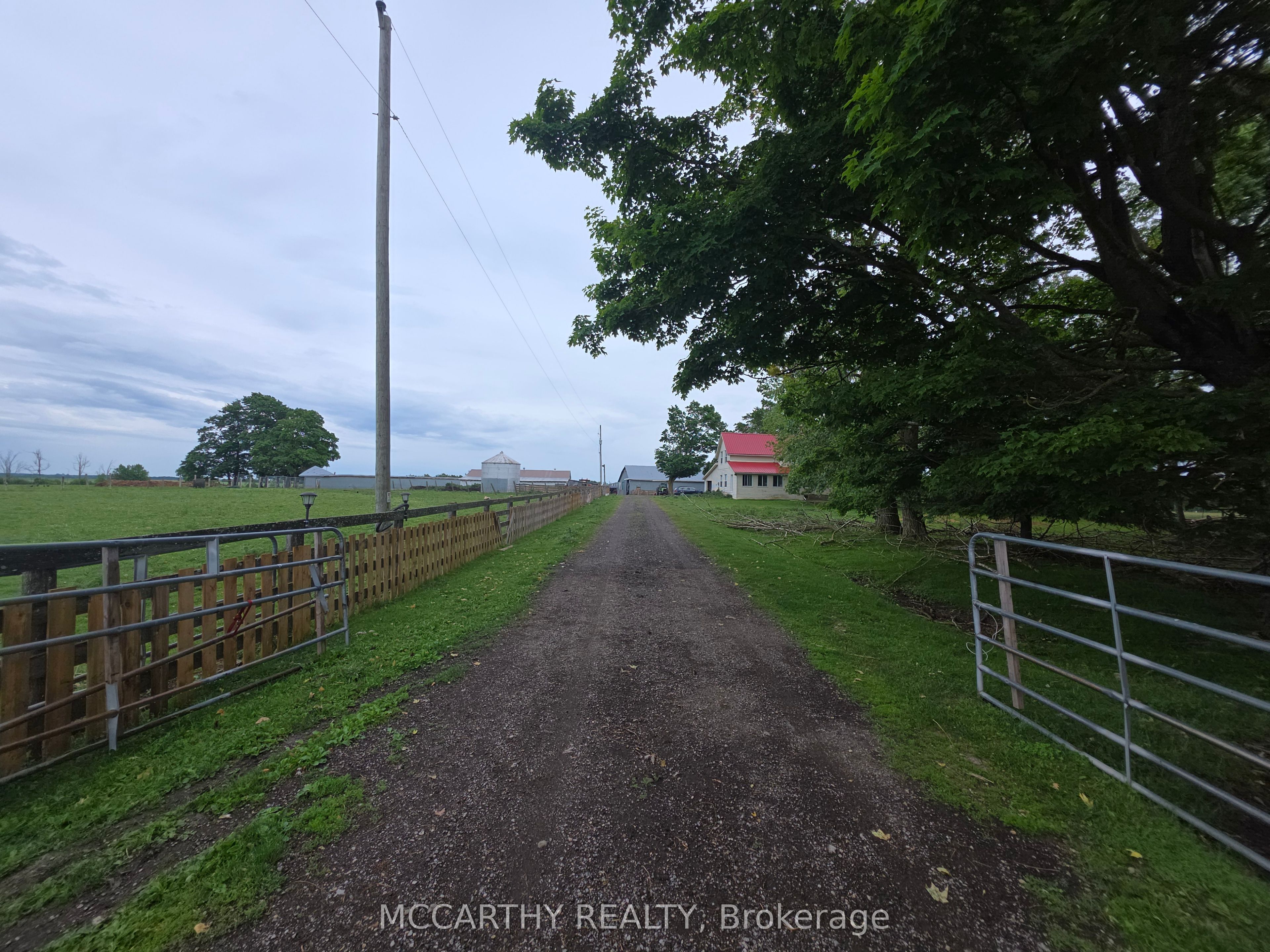 Listing 200365 Image