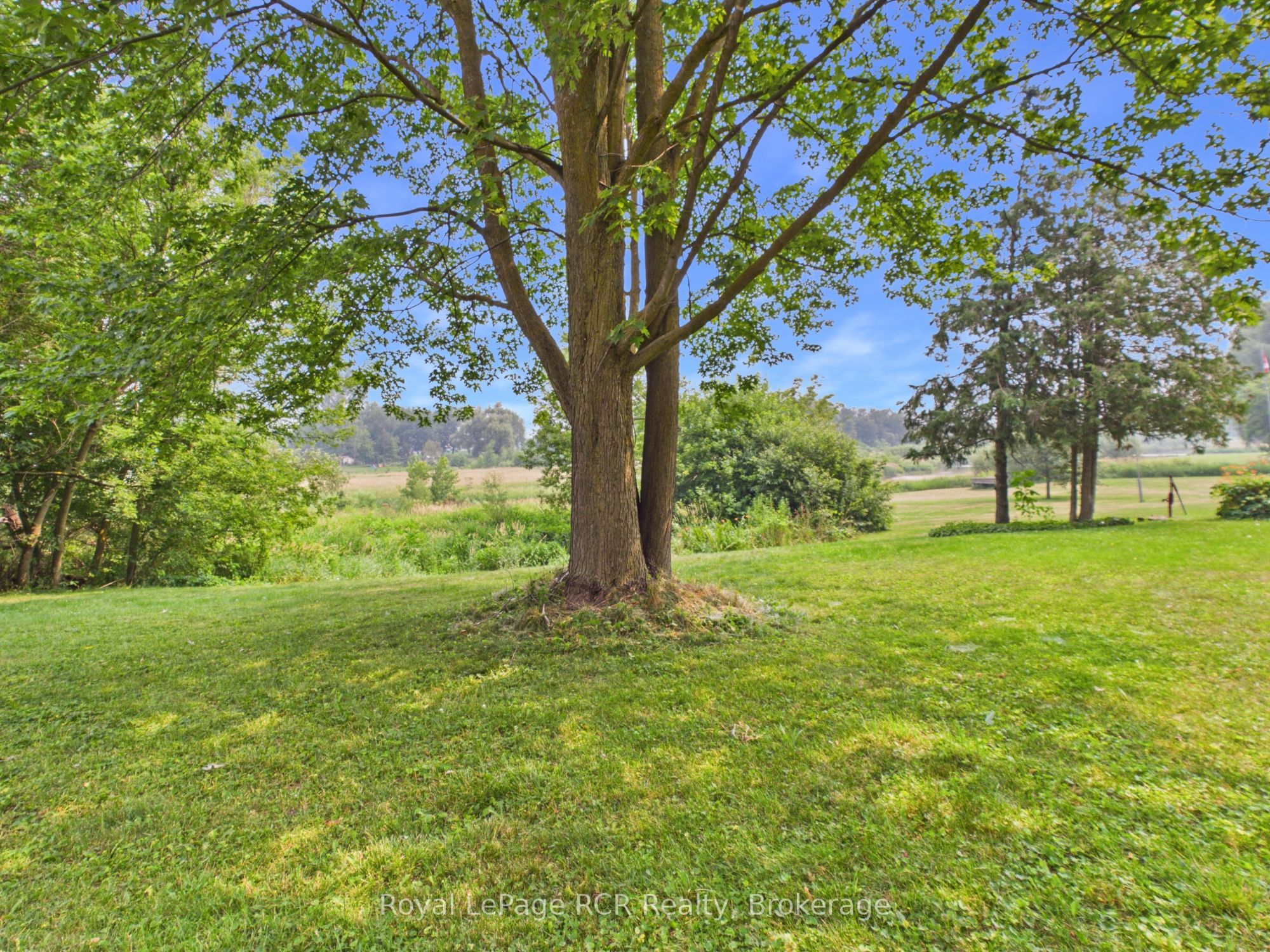 Listing 203761 Image