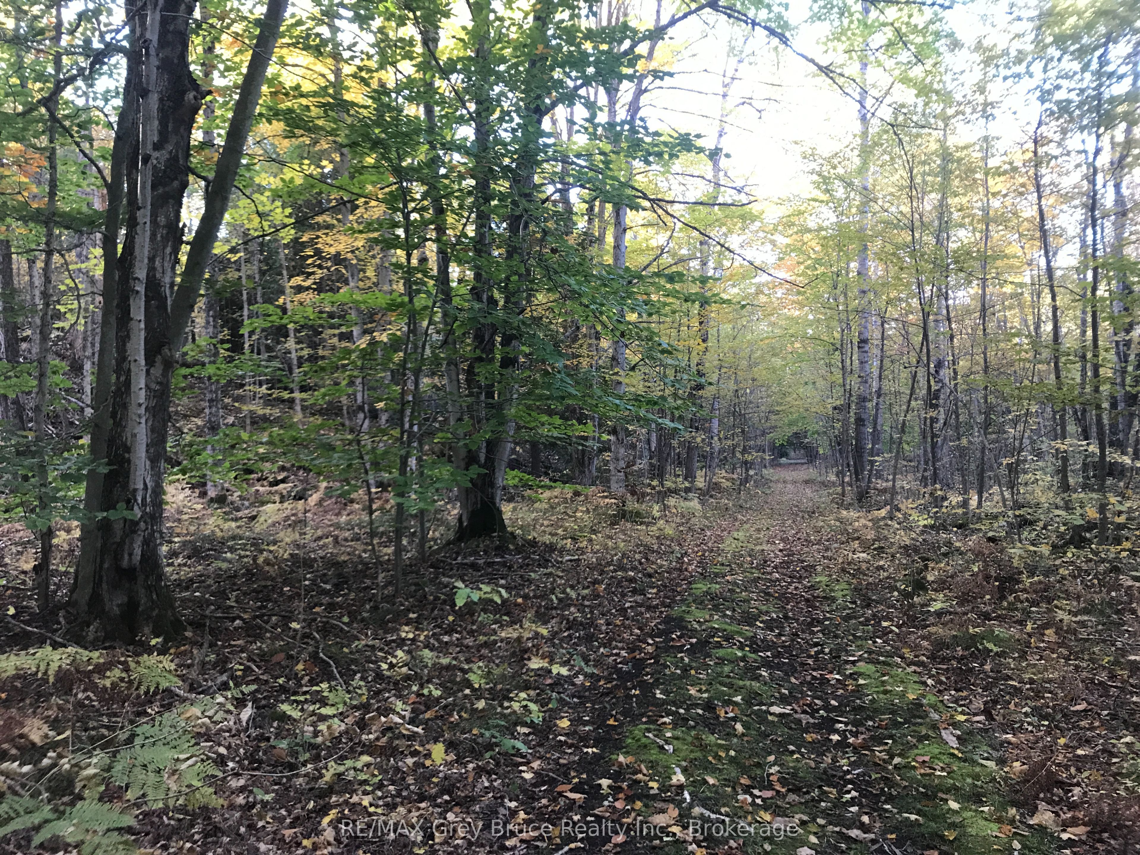 Listing 203856 Image
