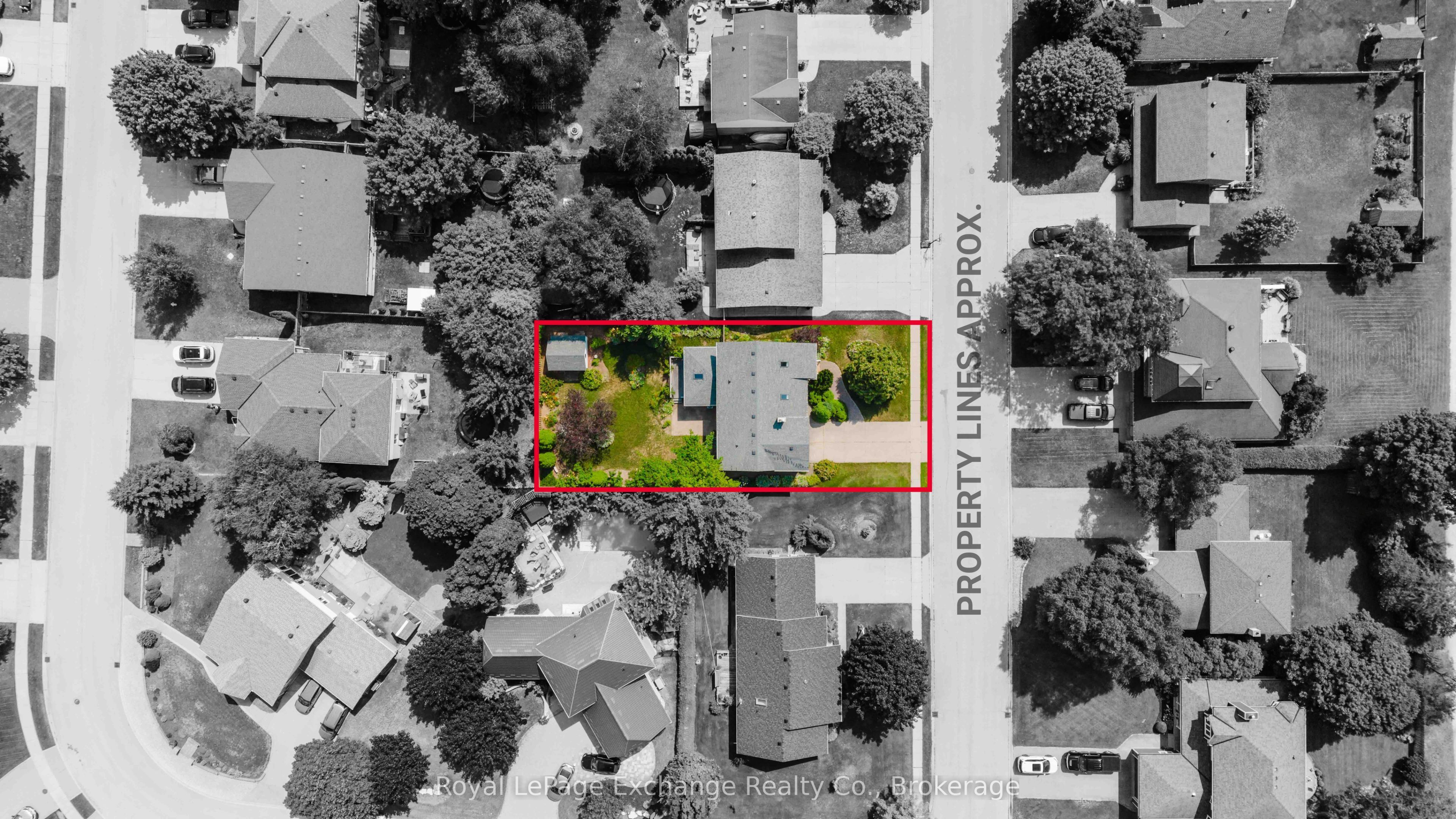 Listing 245970 Image