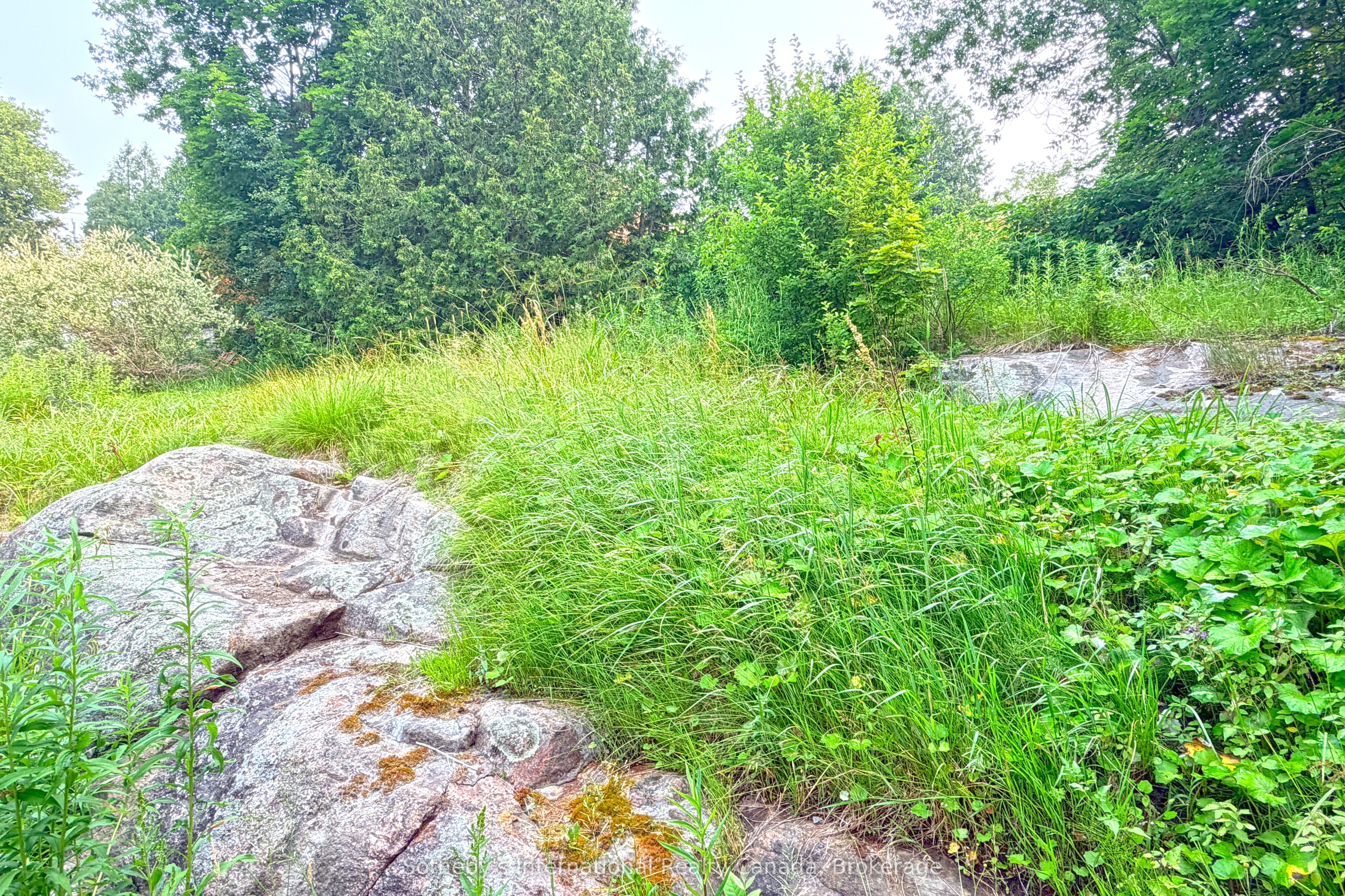 Listing 245532 Image