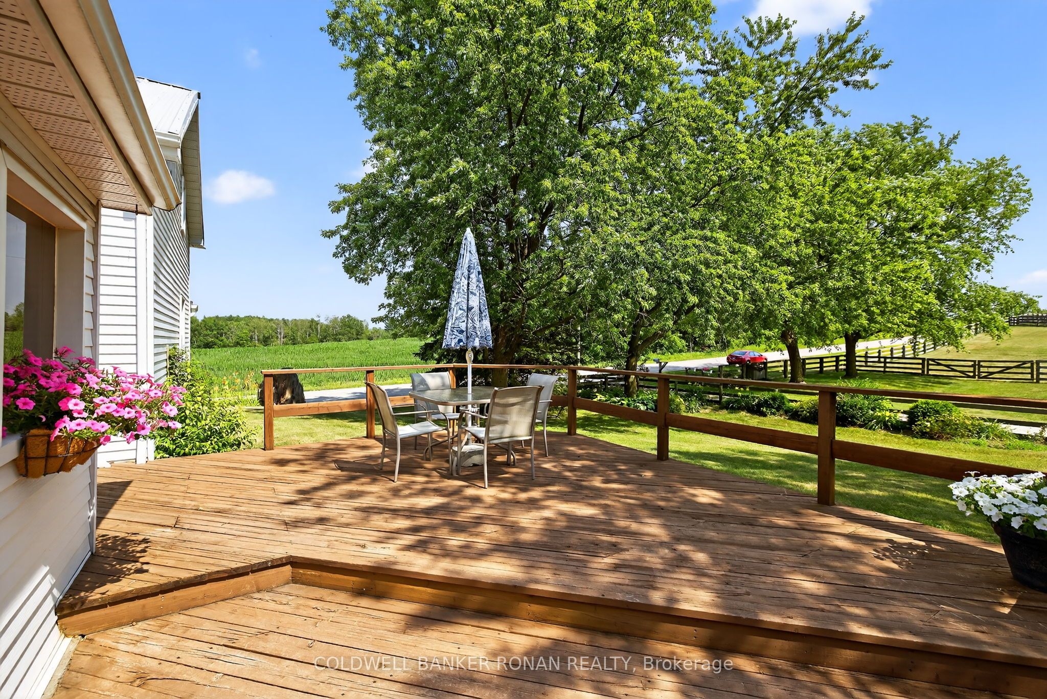 Listing 205263 Image