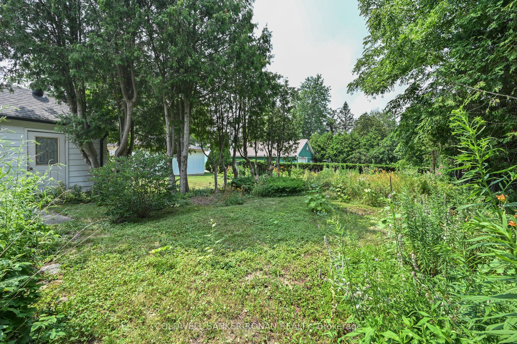 Listing 206009 Image