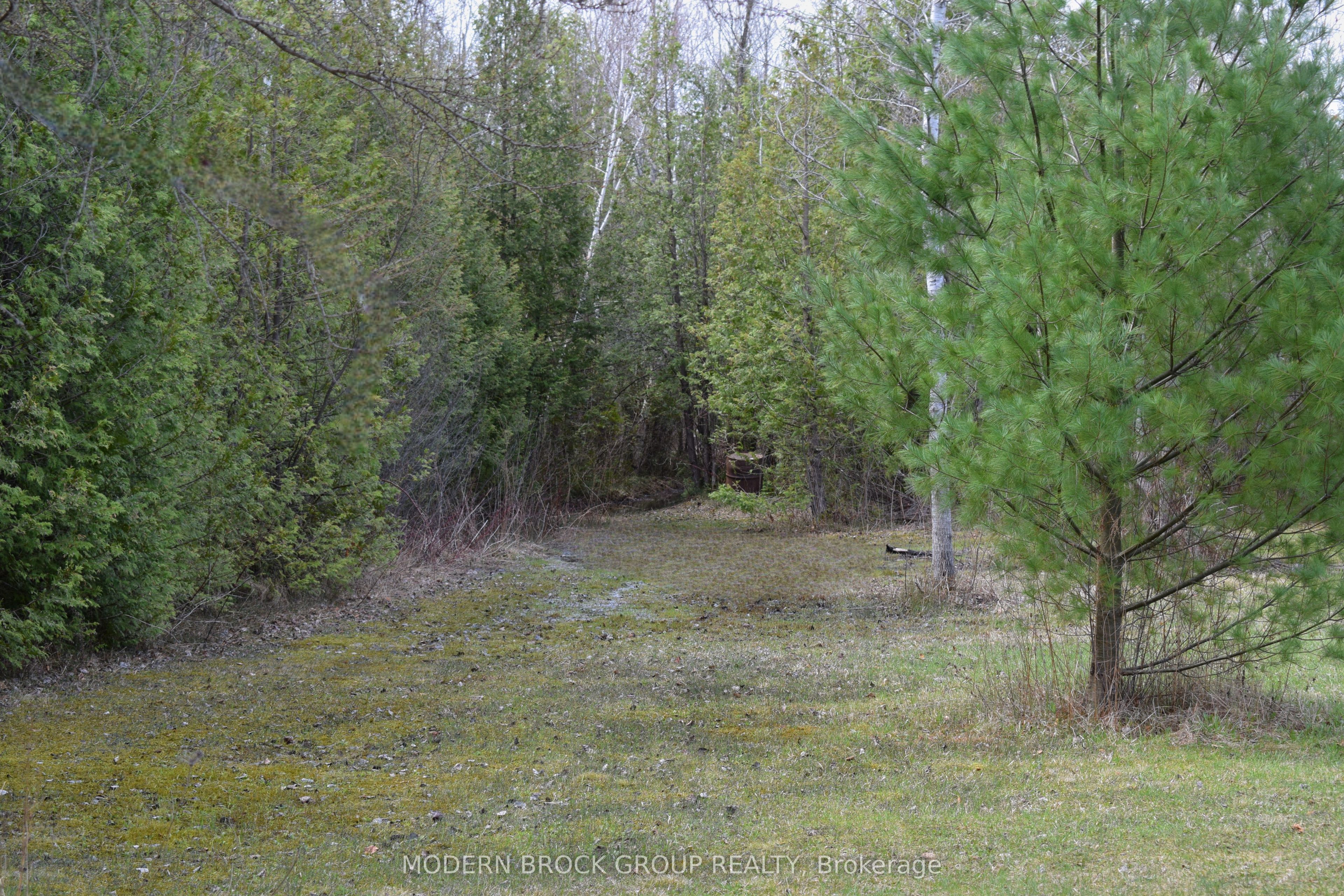 Listing 210283 Image