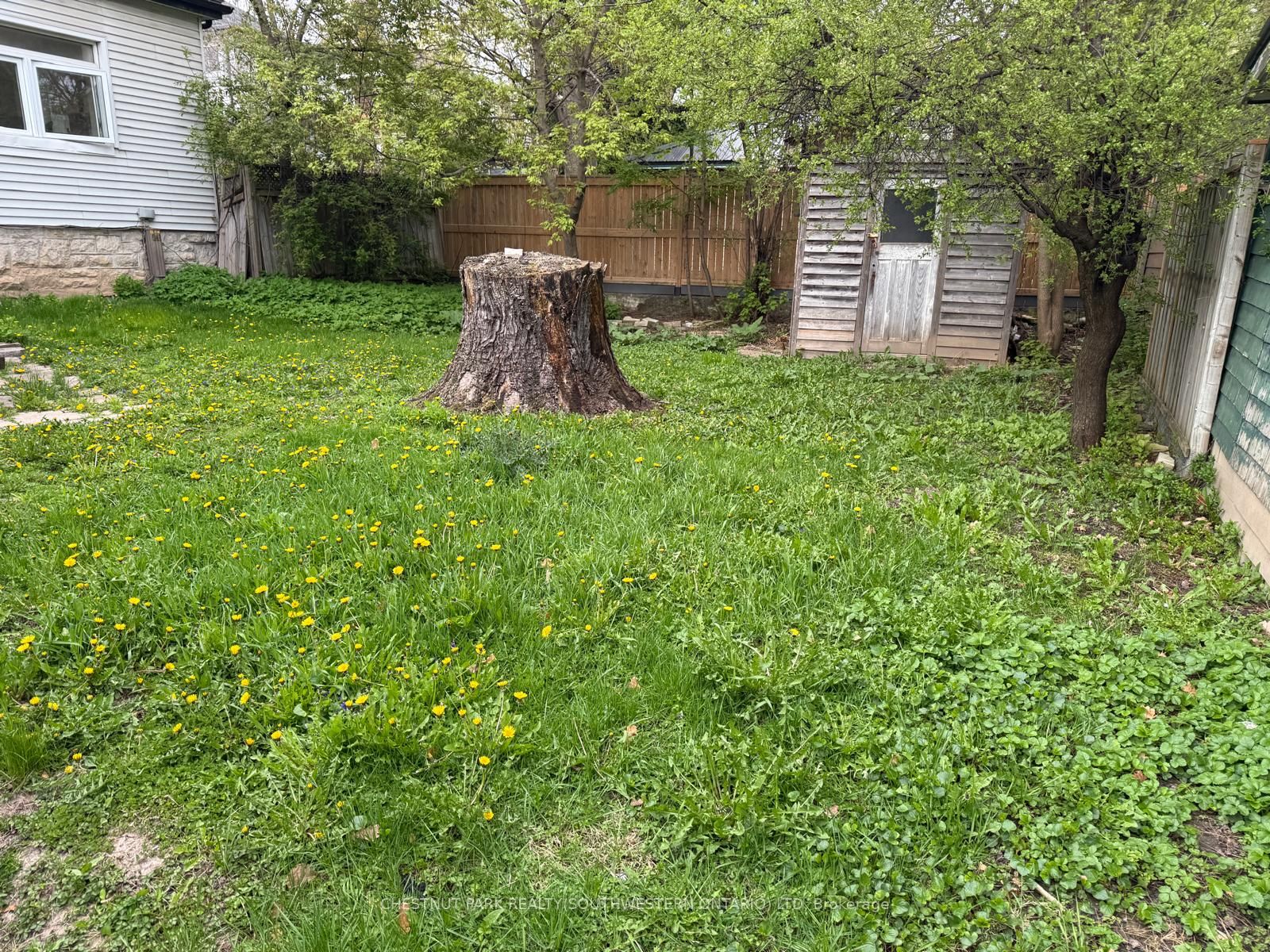 Listing 207988 Image