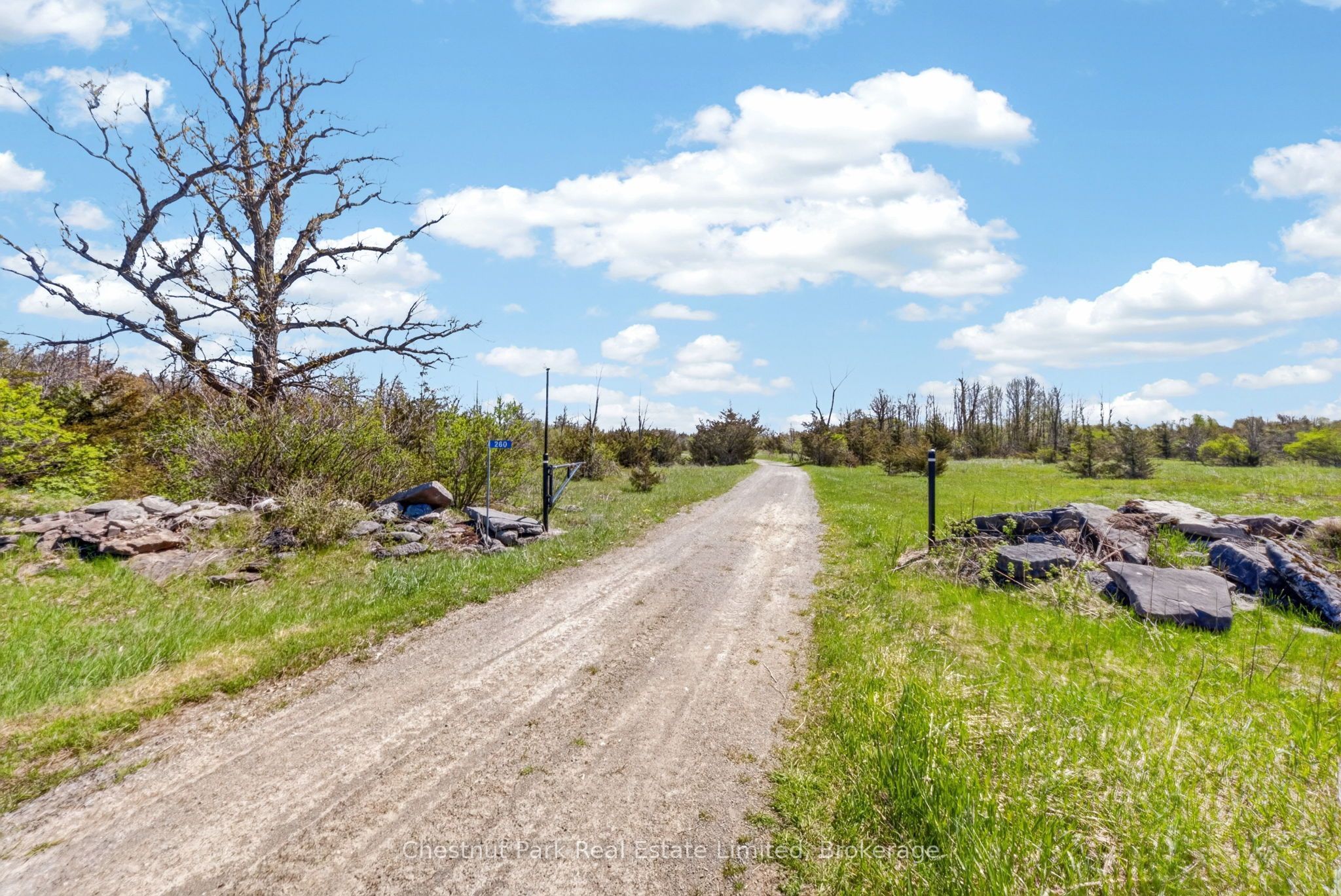 Listing 259783 Image