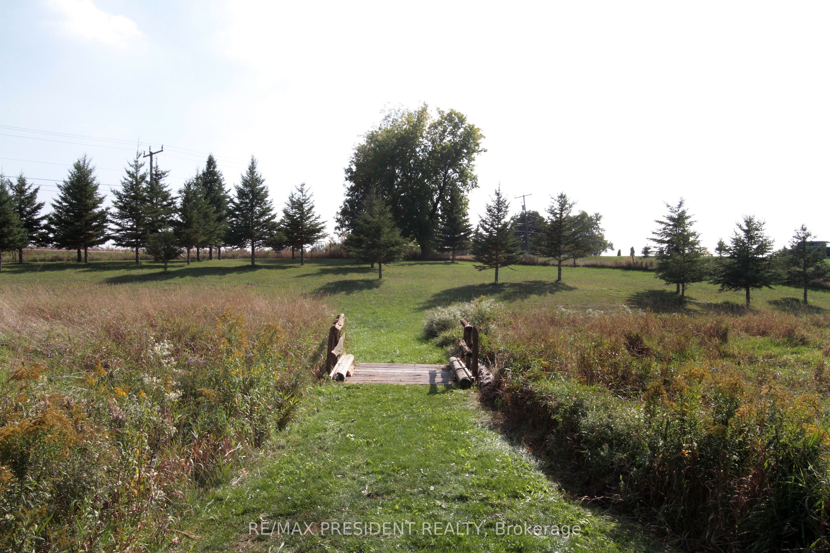 Listing 219731 Image
