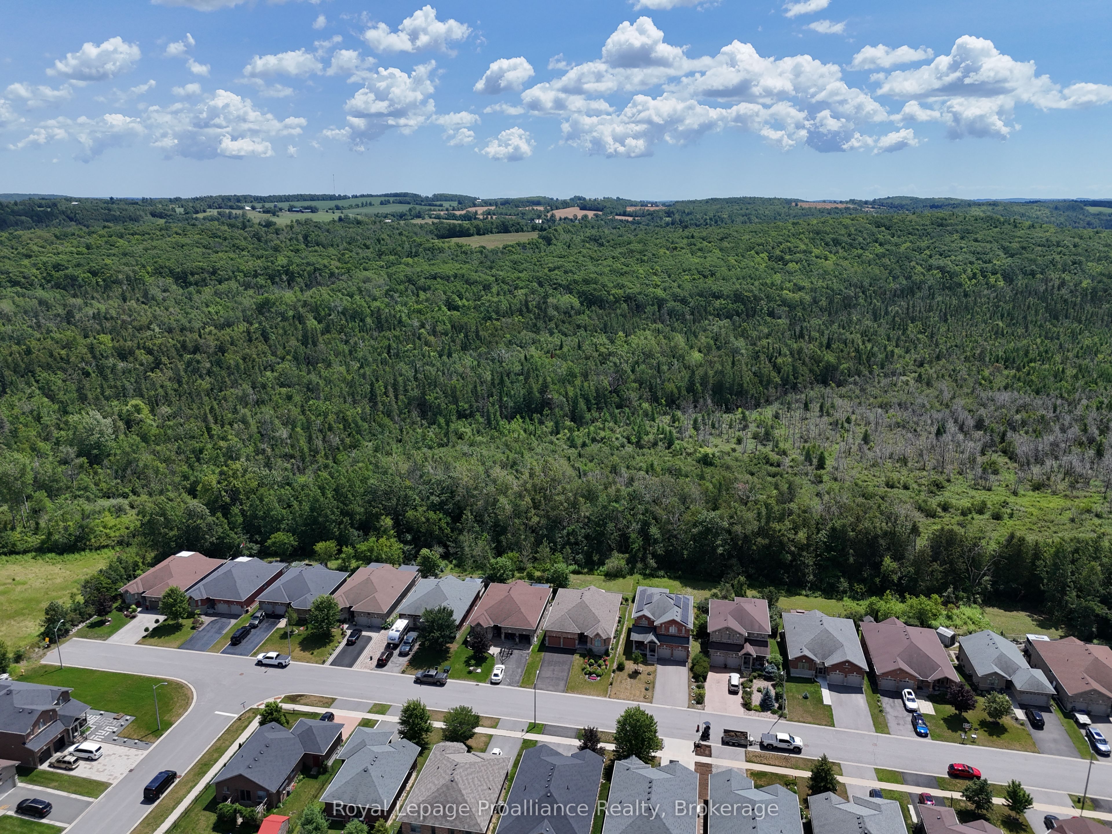 Listing 217415 Image