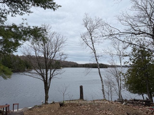 Listing 219755 Image