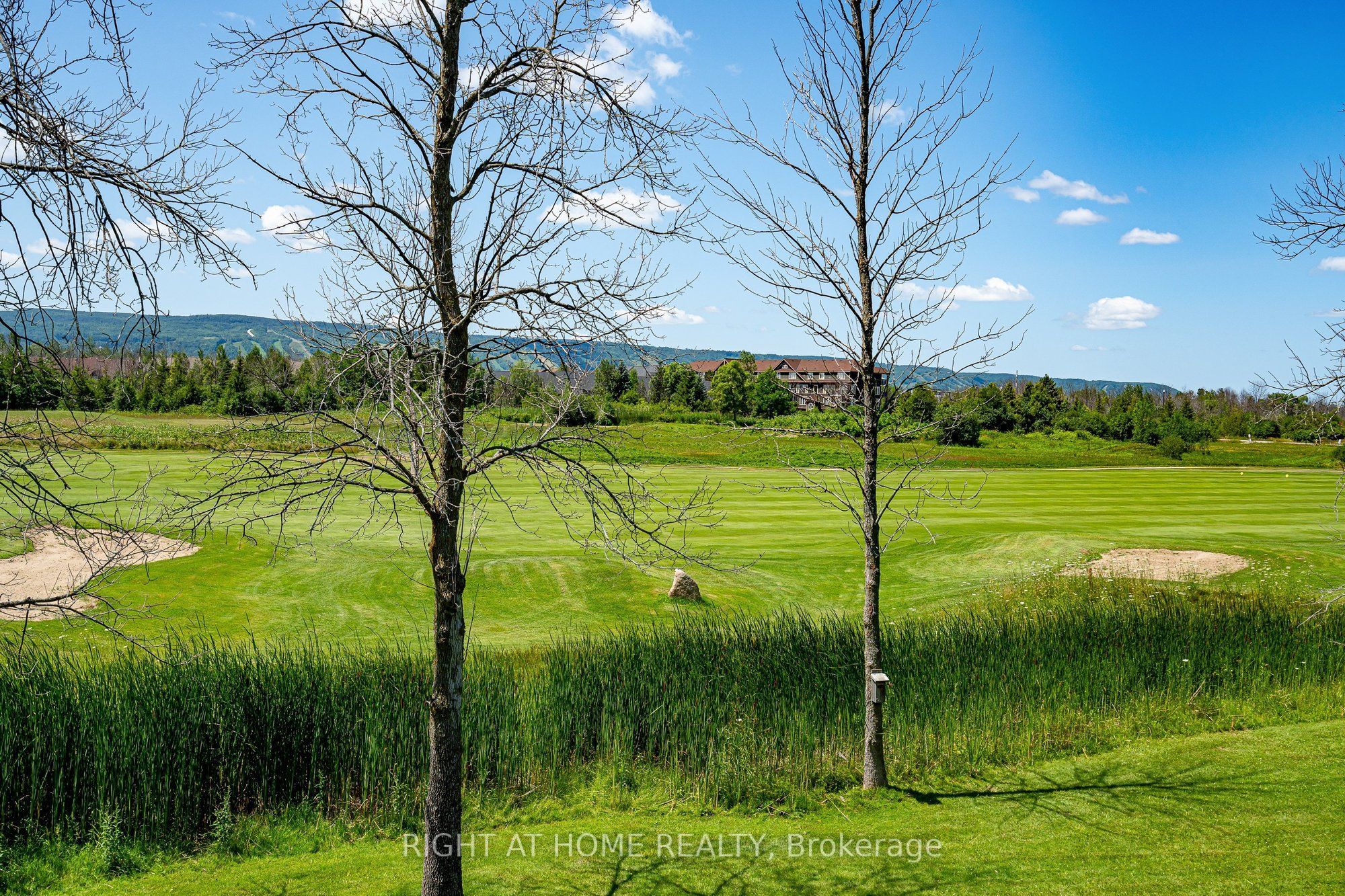Listing 215846 Image