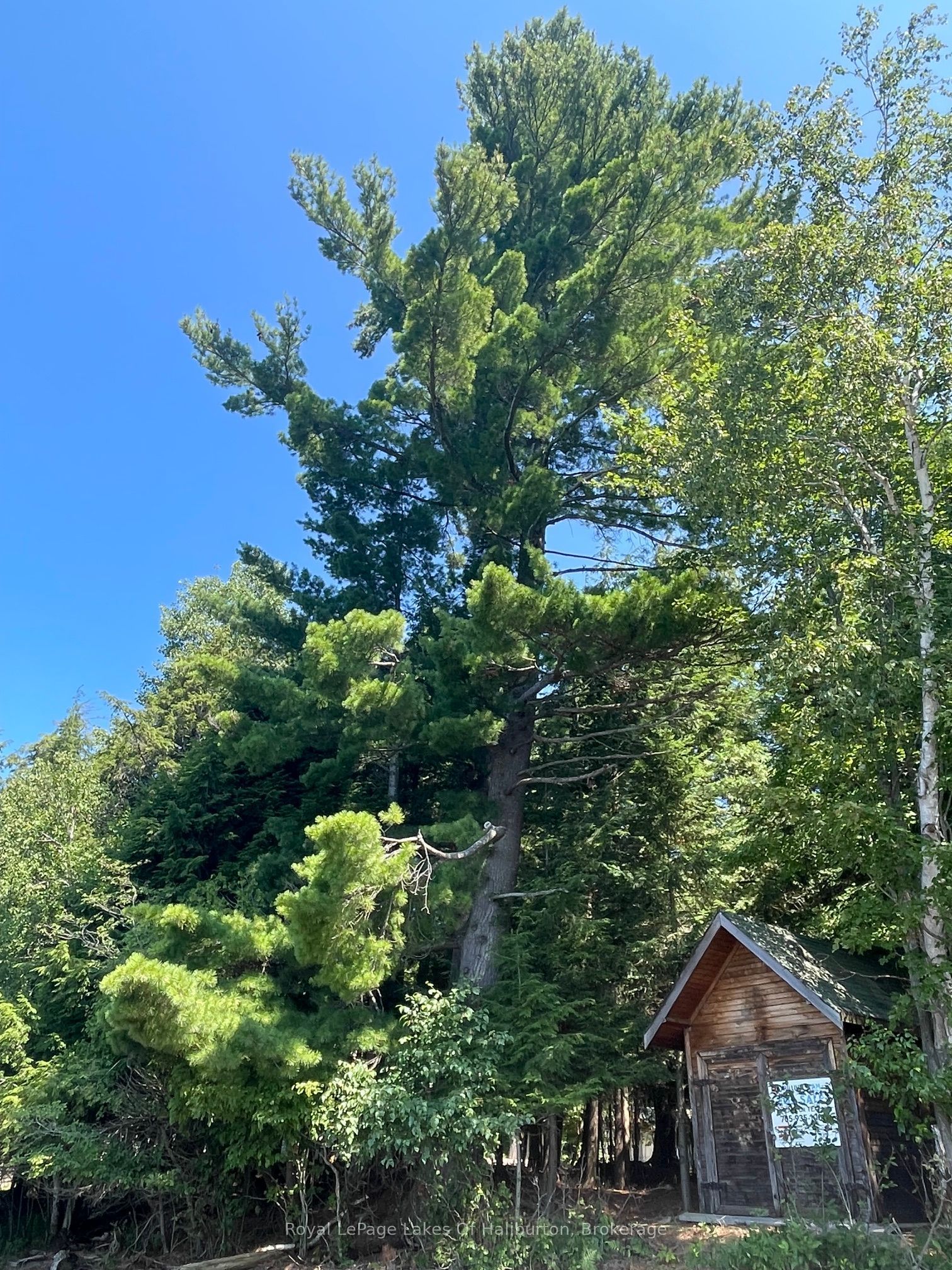Listing 236408 Image