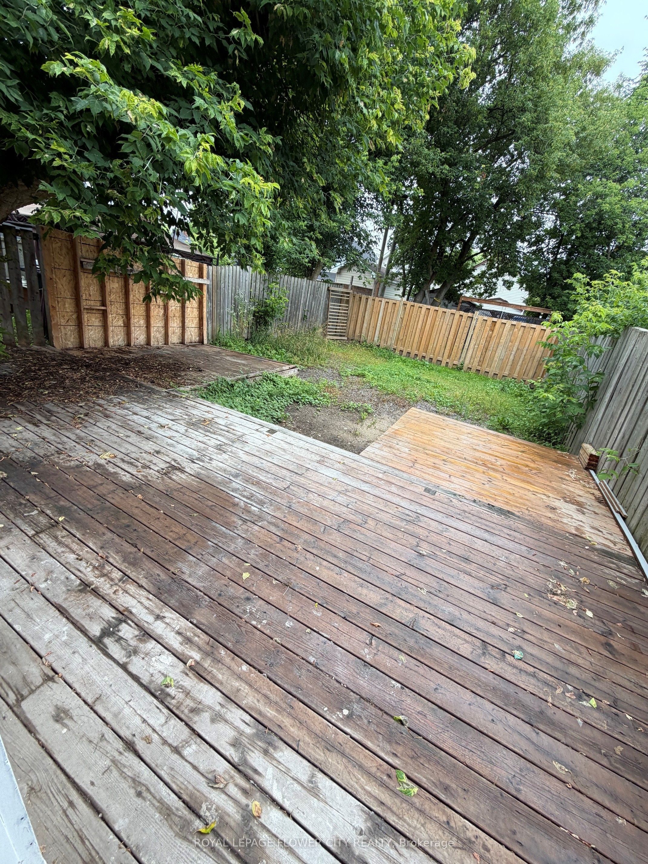 Listing 218700 Image