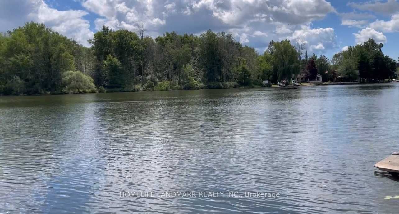 Listing 217713 Image