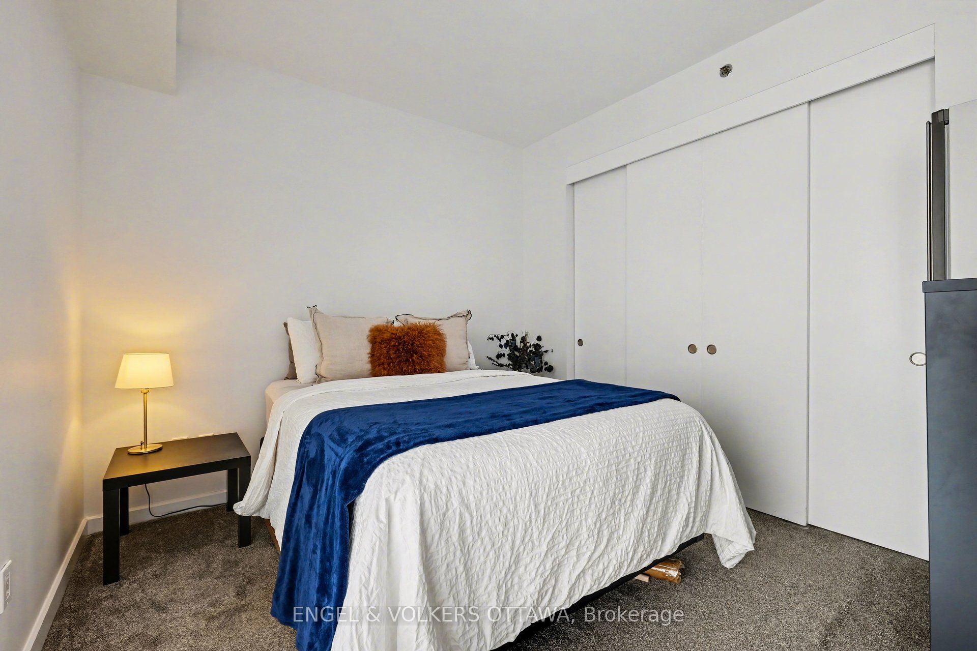 Listing 219501 Image