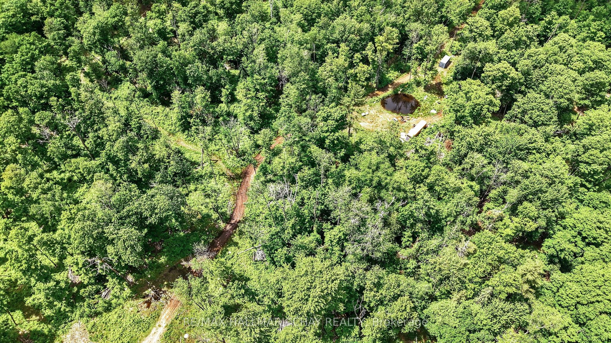 Listing 219761 Image