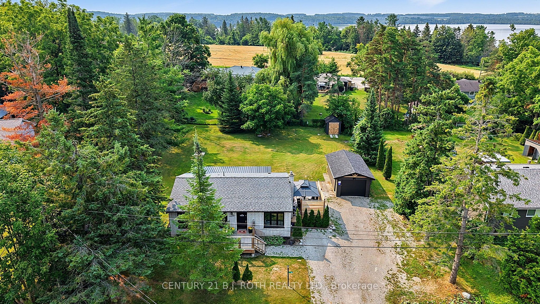 Main Property