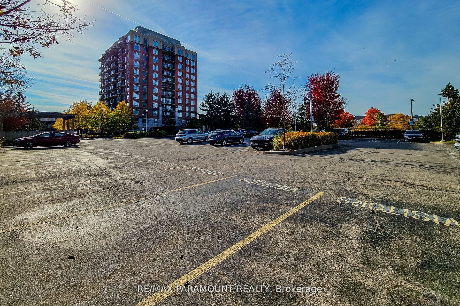 Main Property