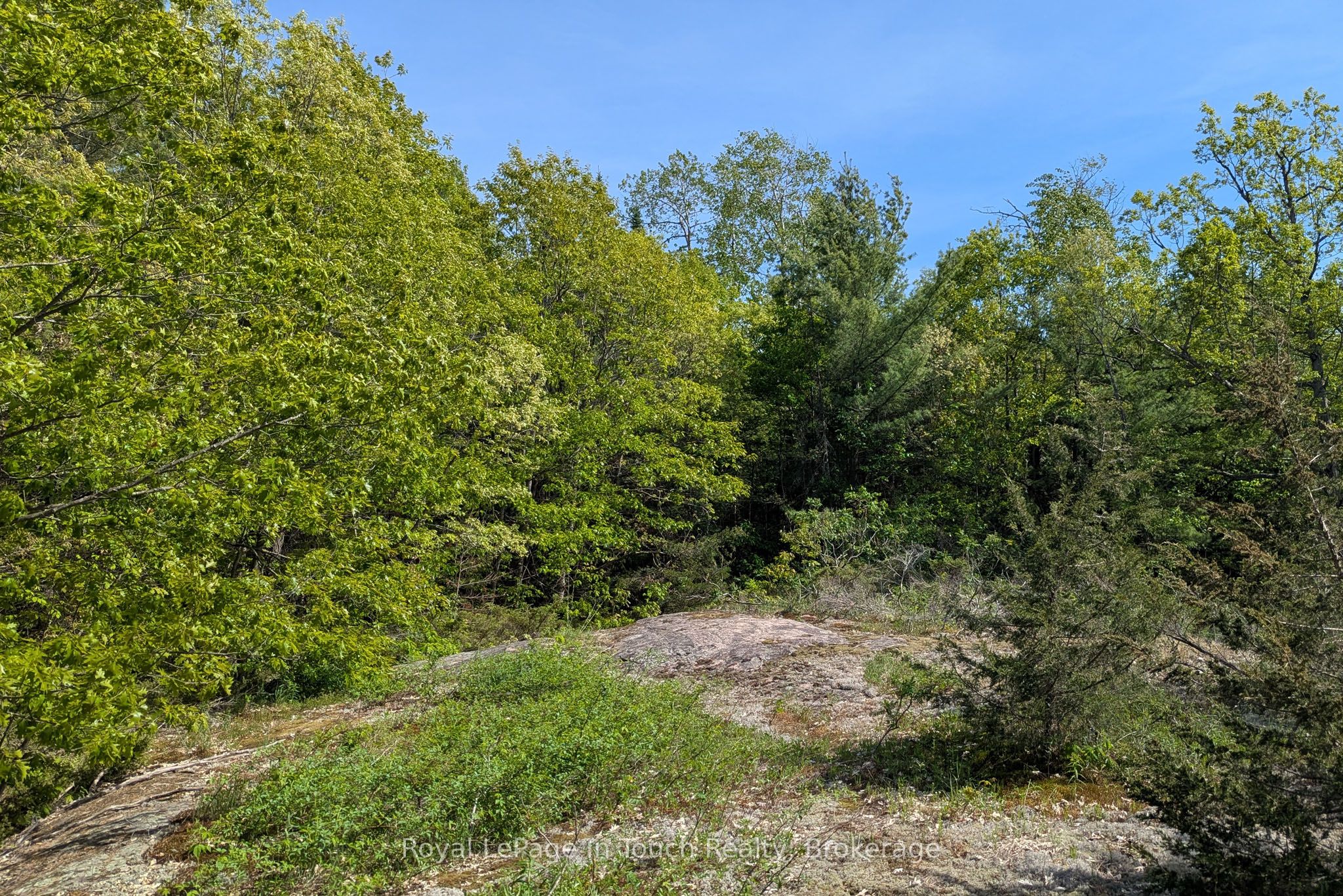 Listing 223119 Image