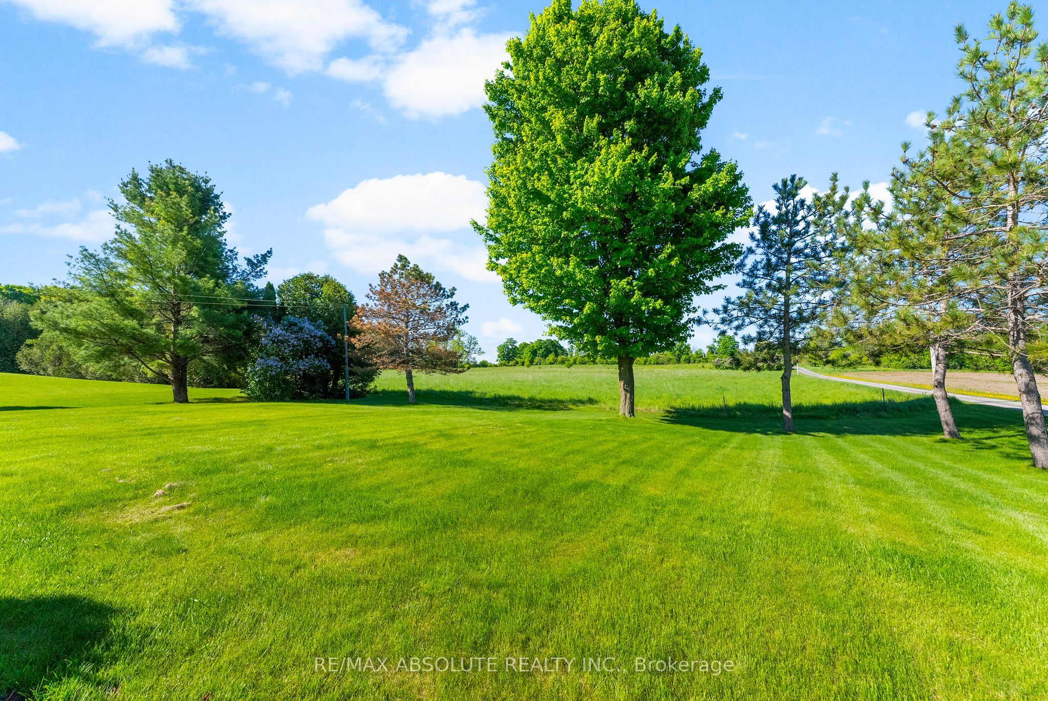 Listing 223388 Image
