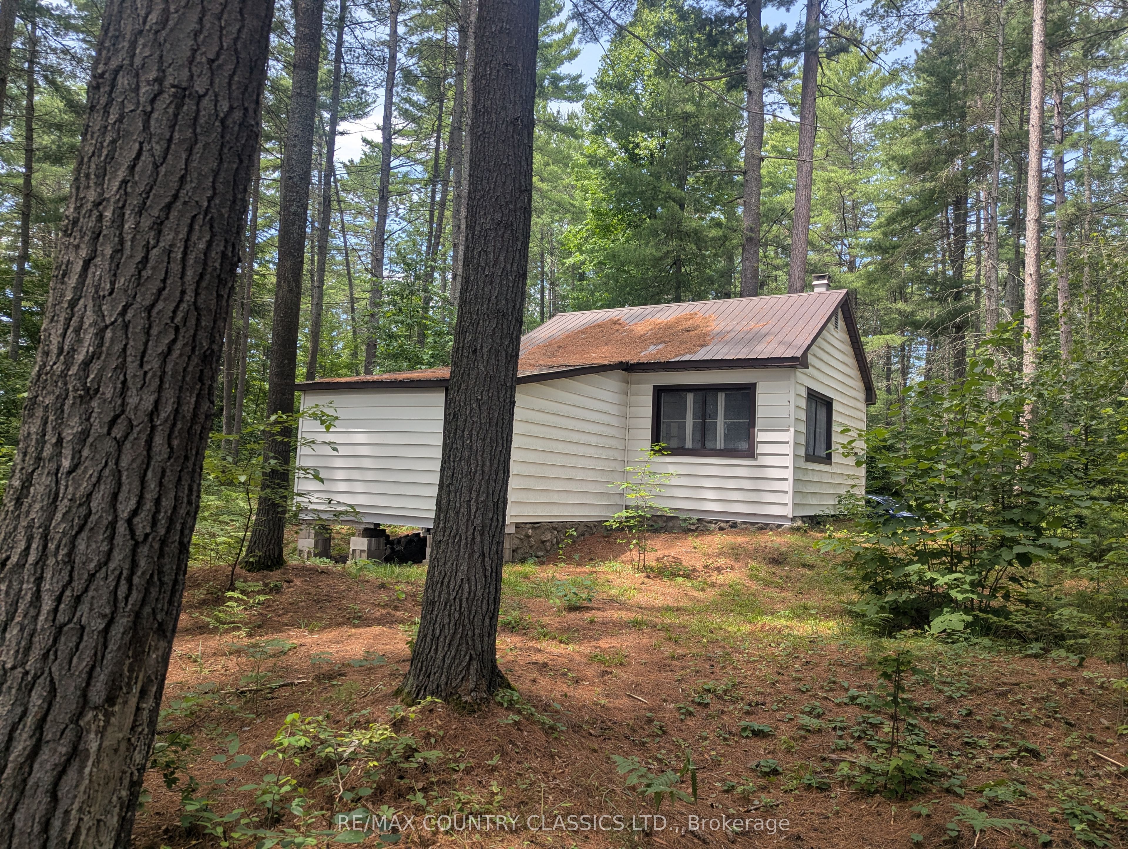 Listing 221659 Image