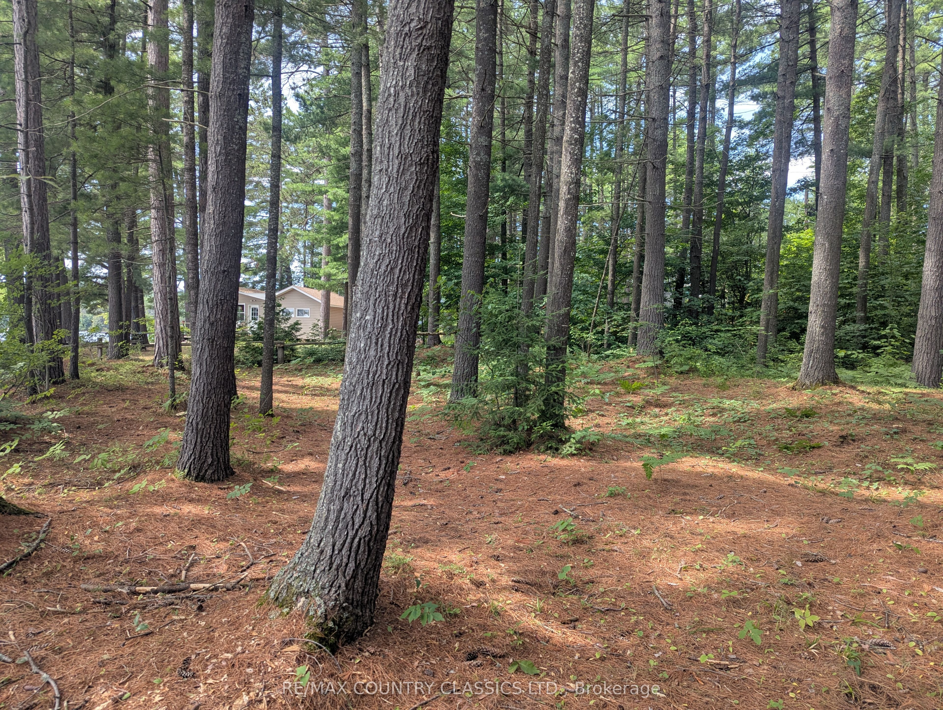 Main Property