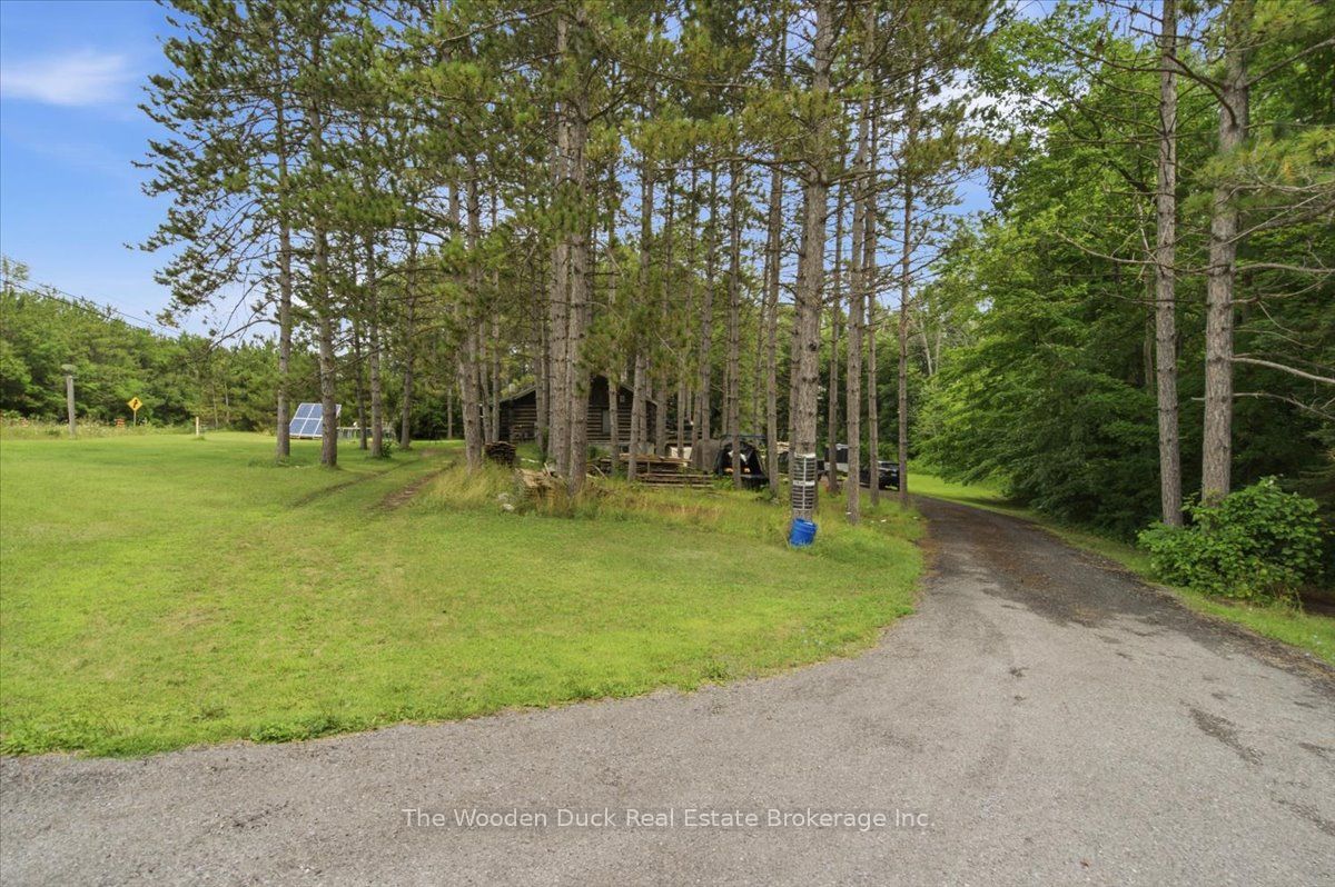 Listing 221279 Image