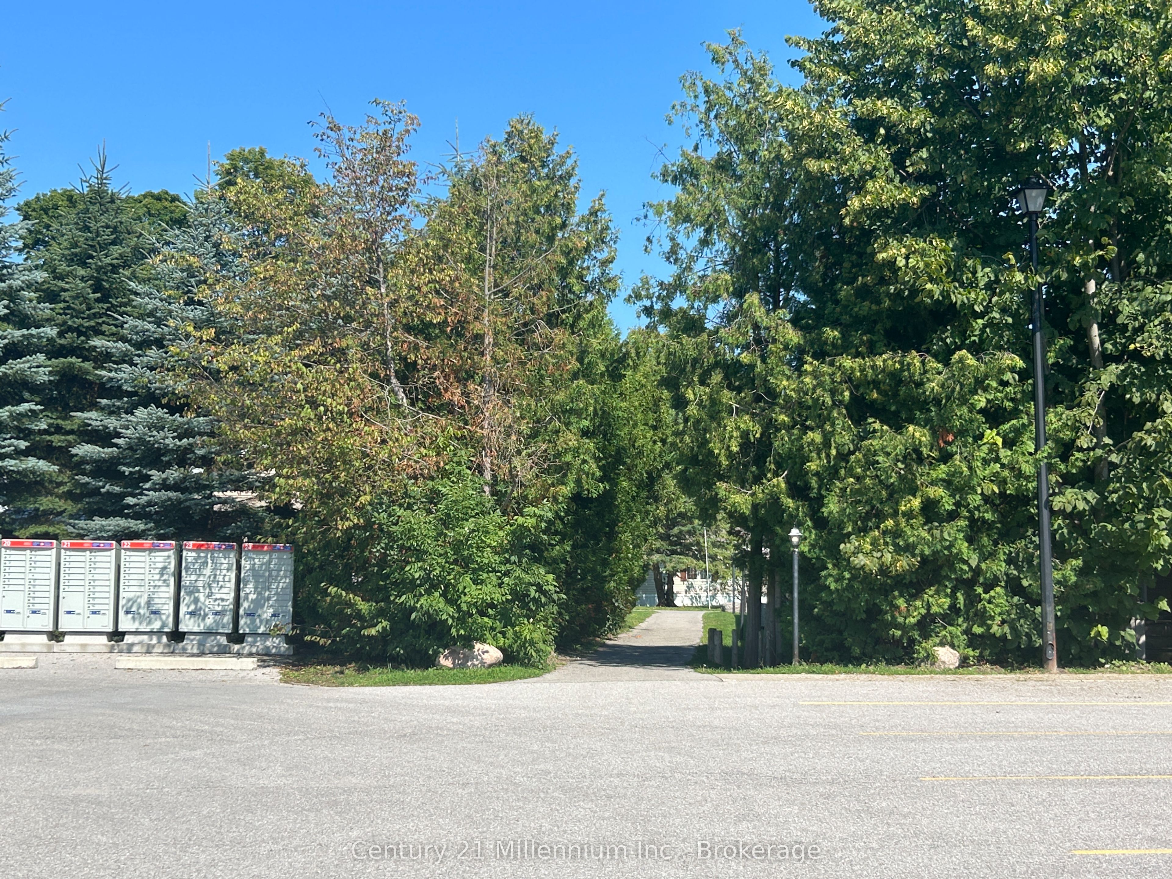 Listing 236383 Image
