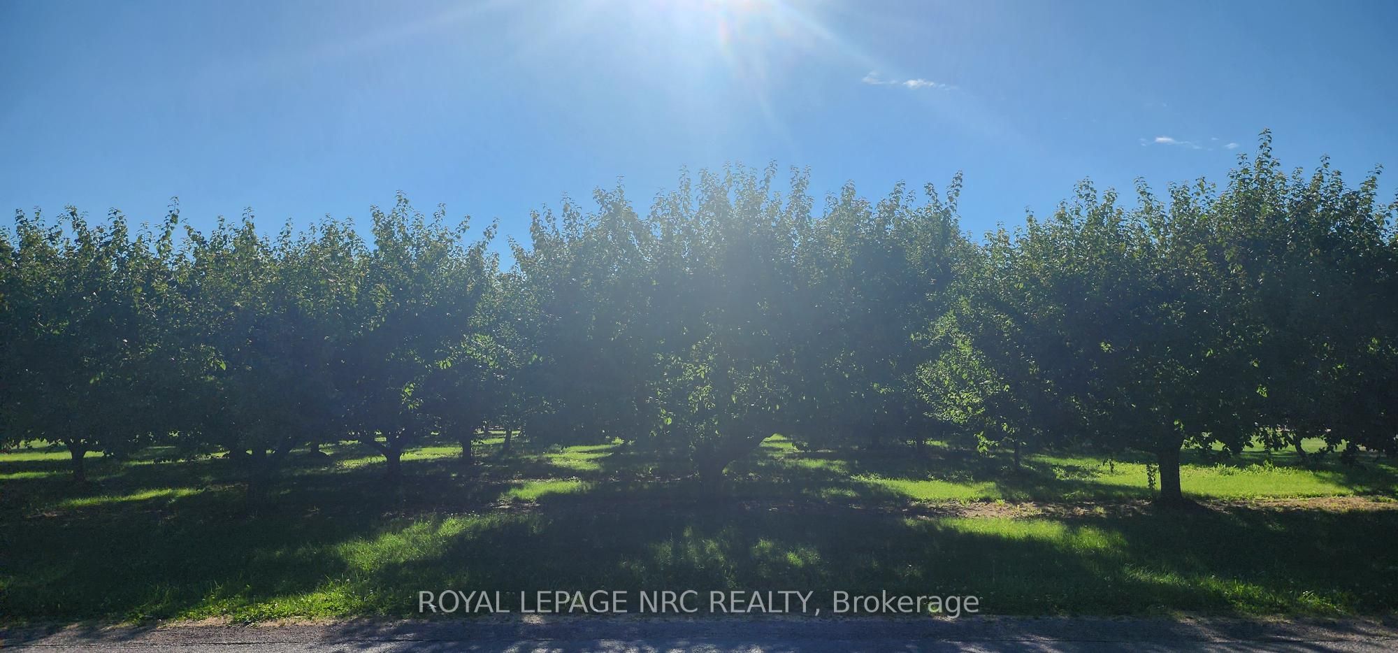 Listing 241464 Image