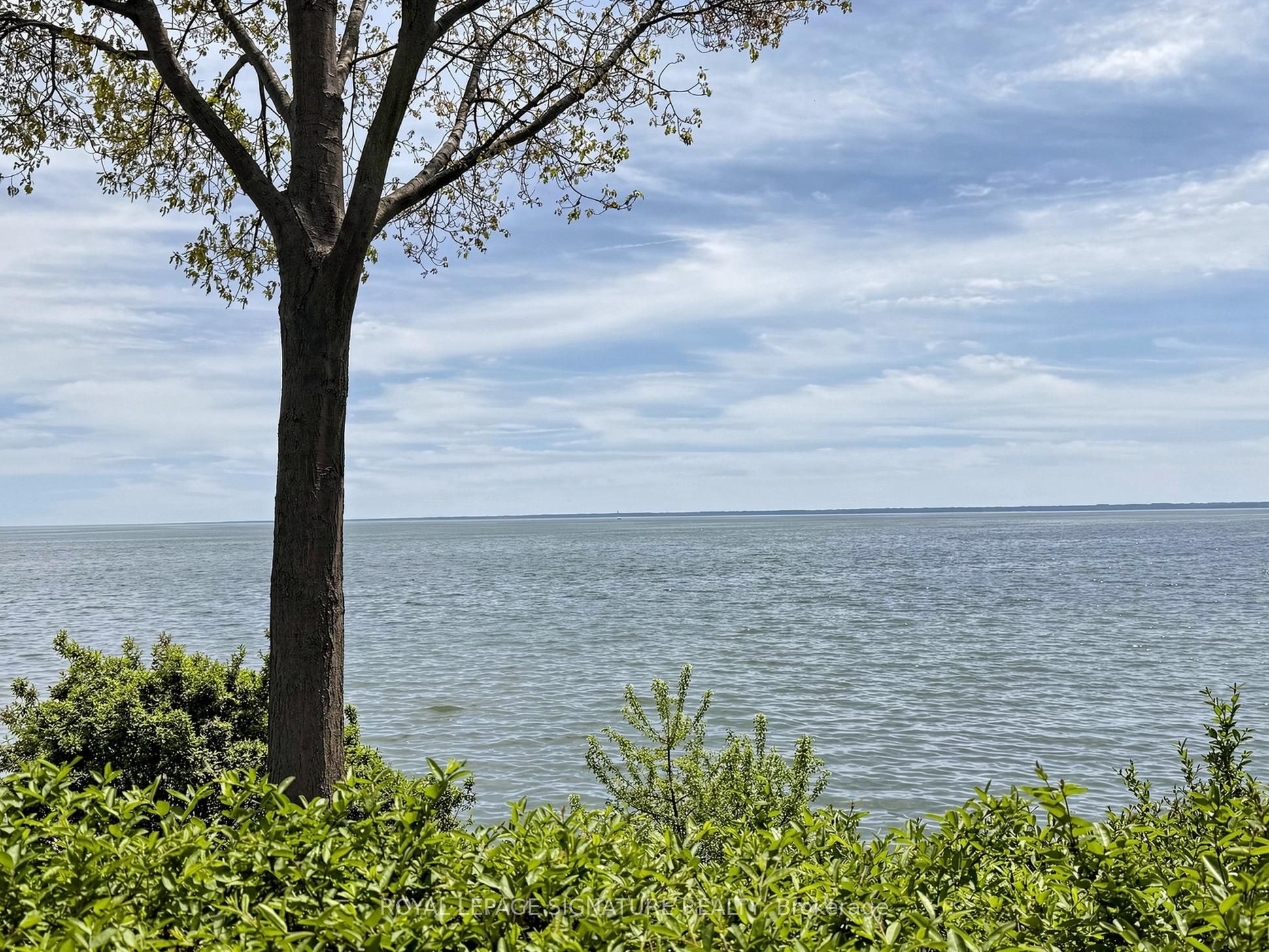 Listing 224185 Image