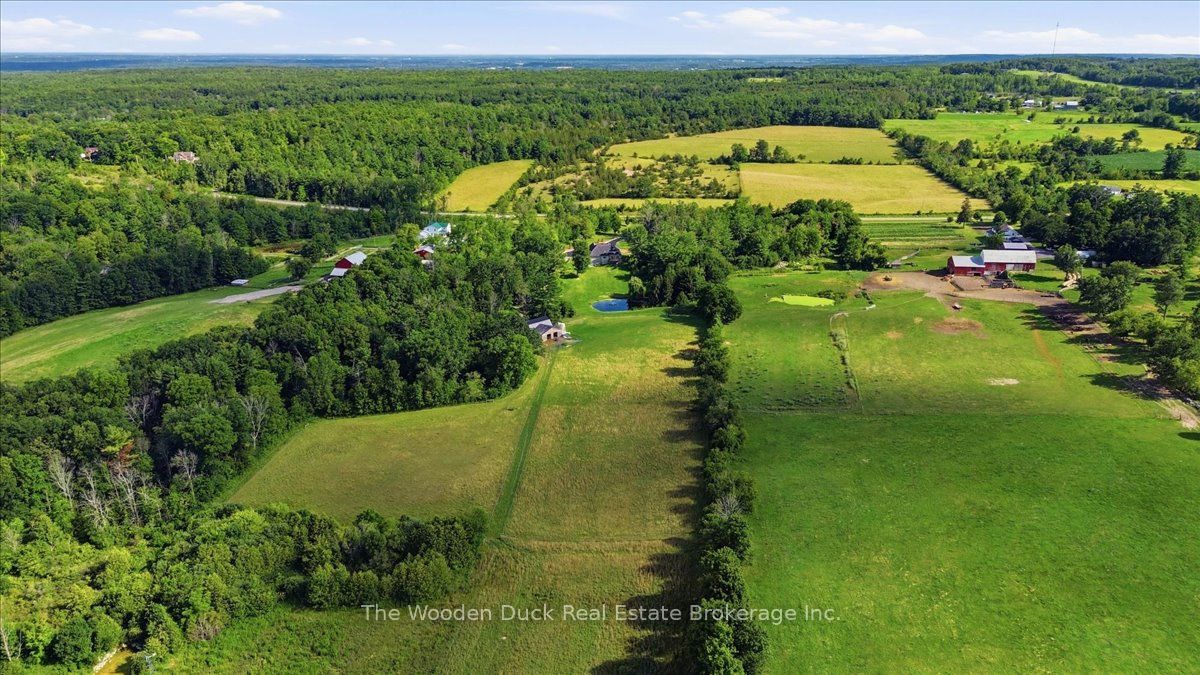 Listing 226092 Image
