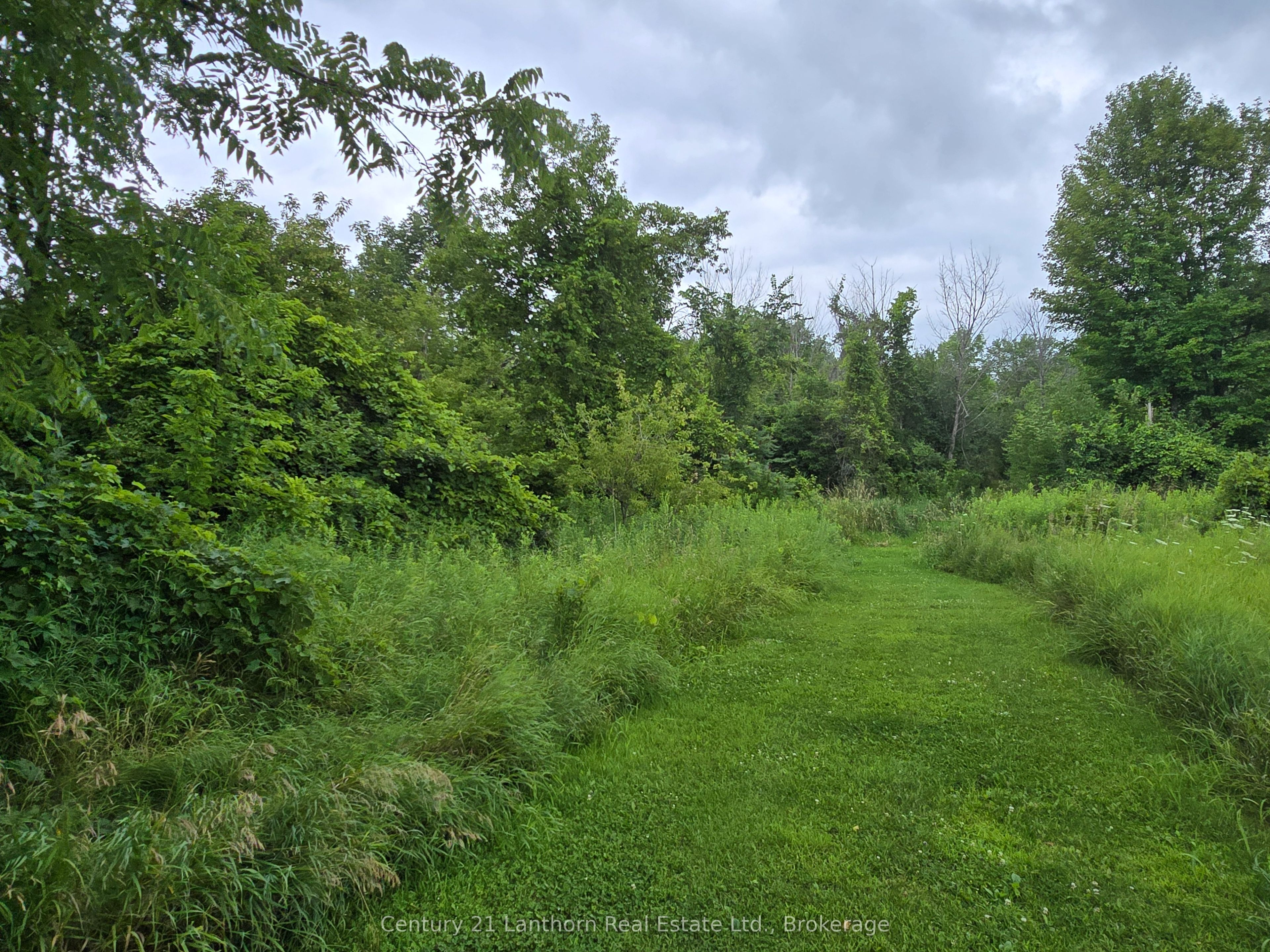 Listing 225050 Image