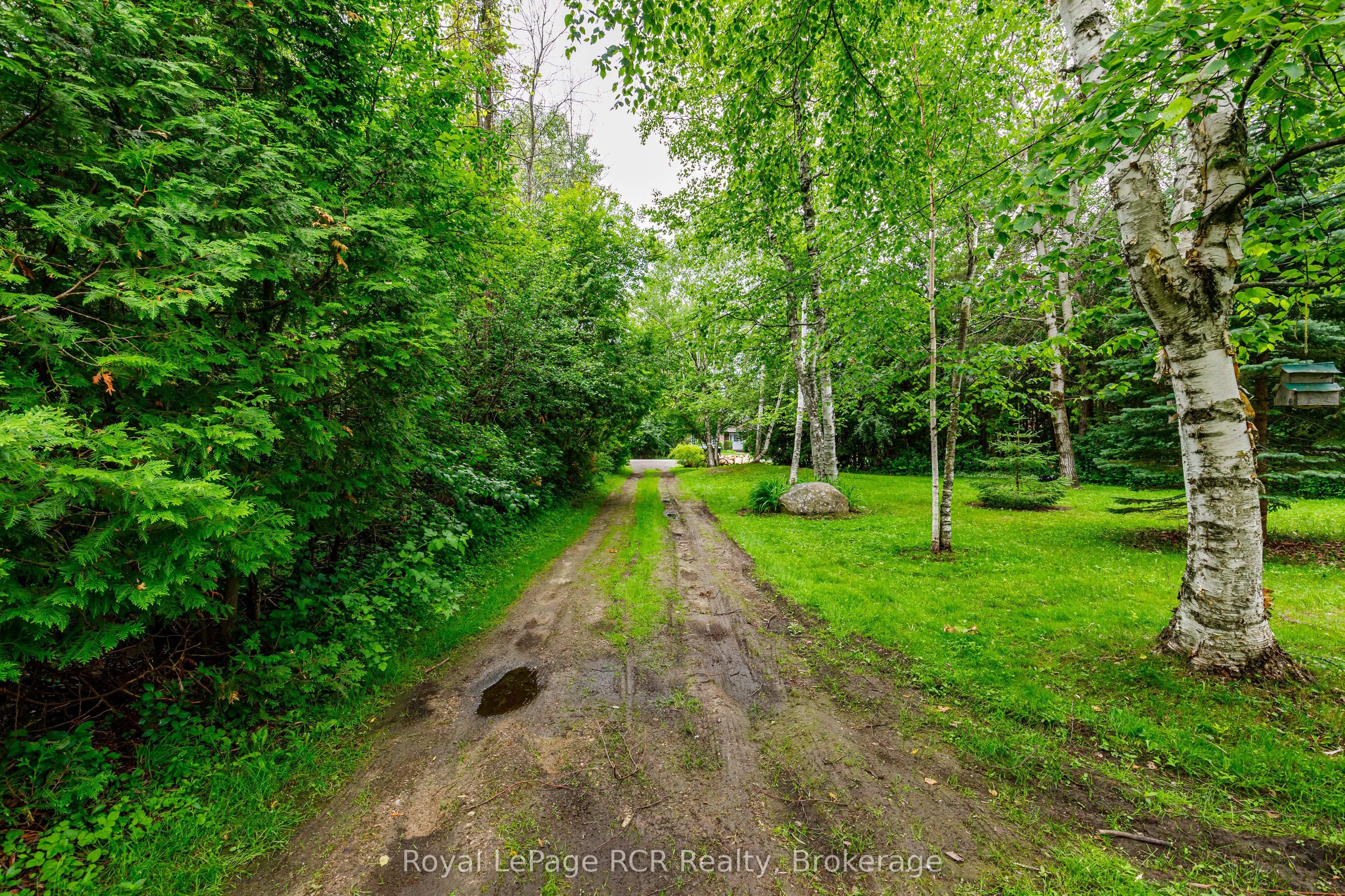 Listing 224917 Image