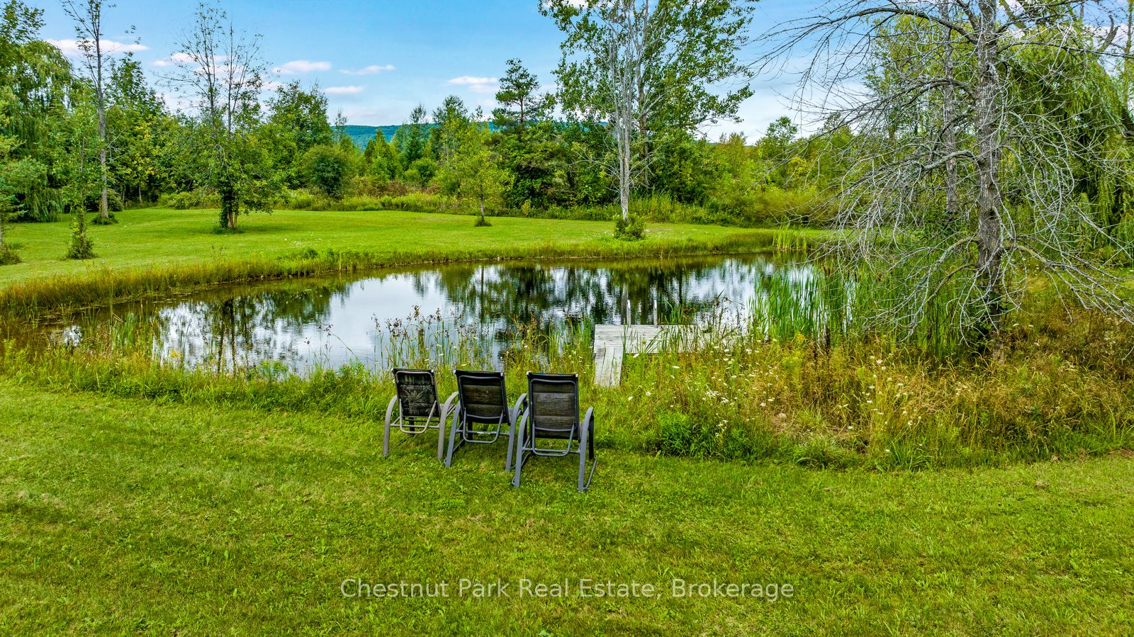 Listing 237912 Image
