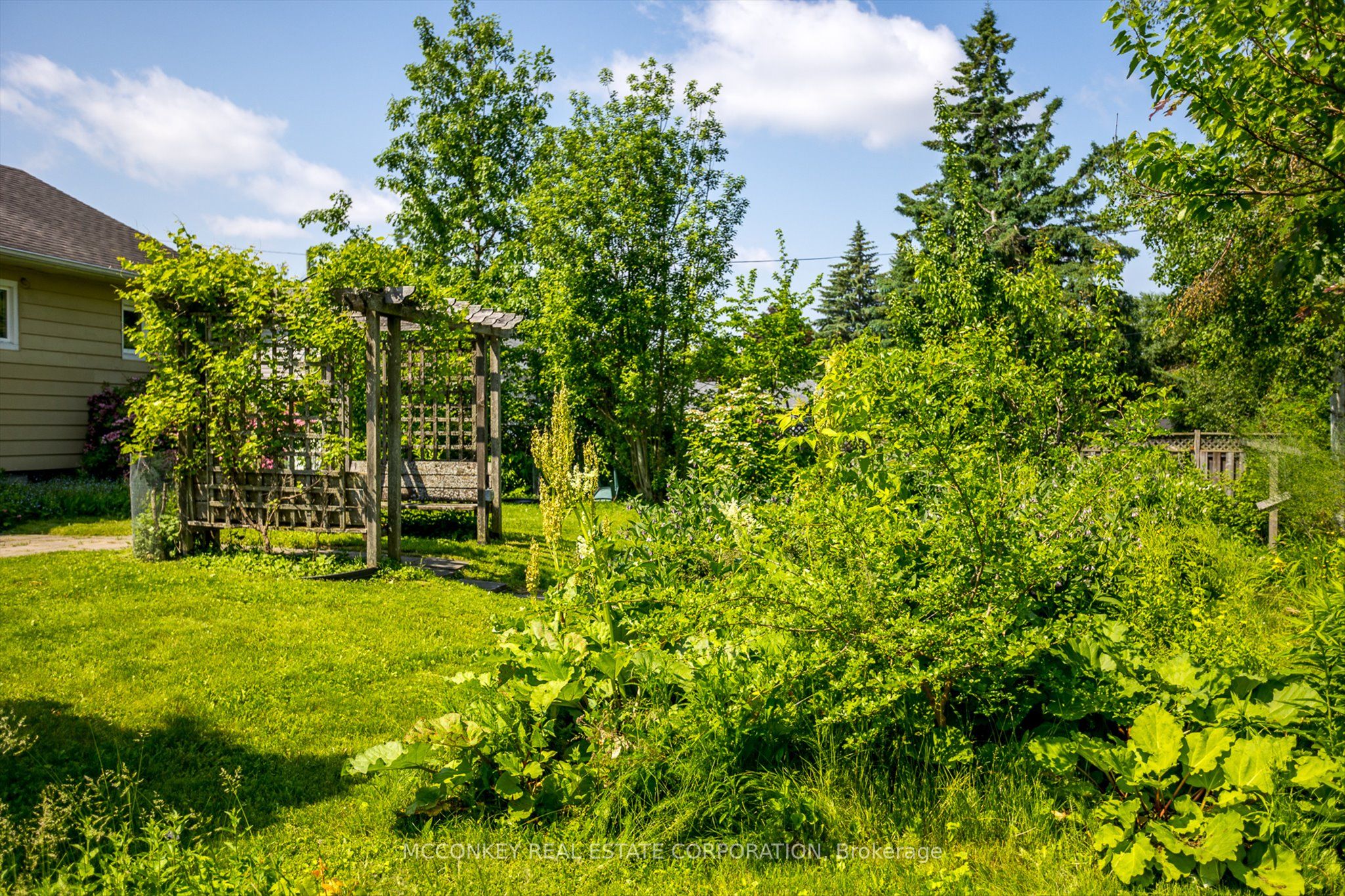 Listing 269156 Image