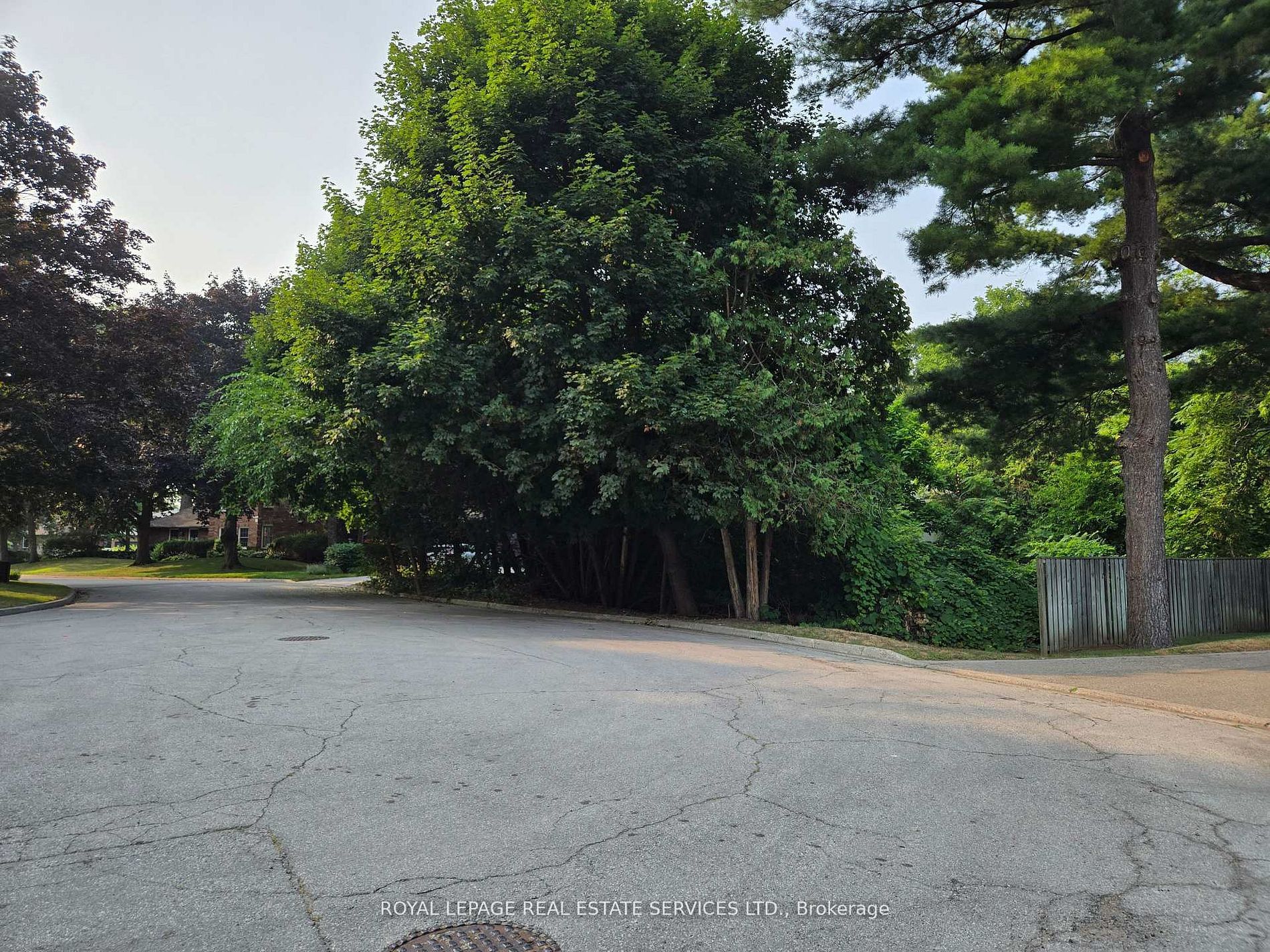 Main Property