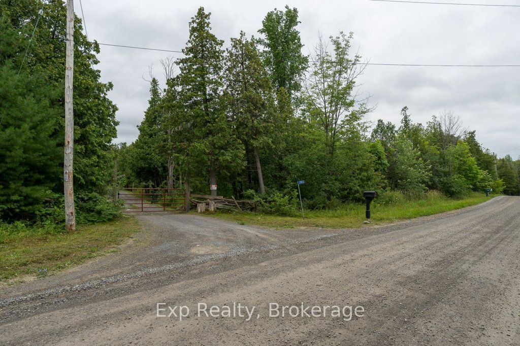Listing 225681 Image