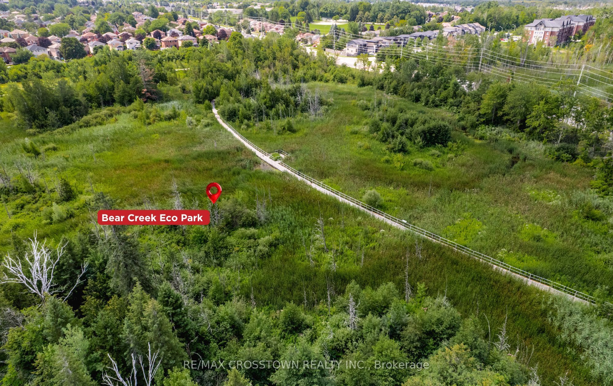 Listing 257847 Image