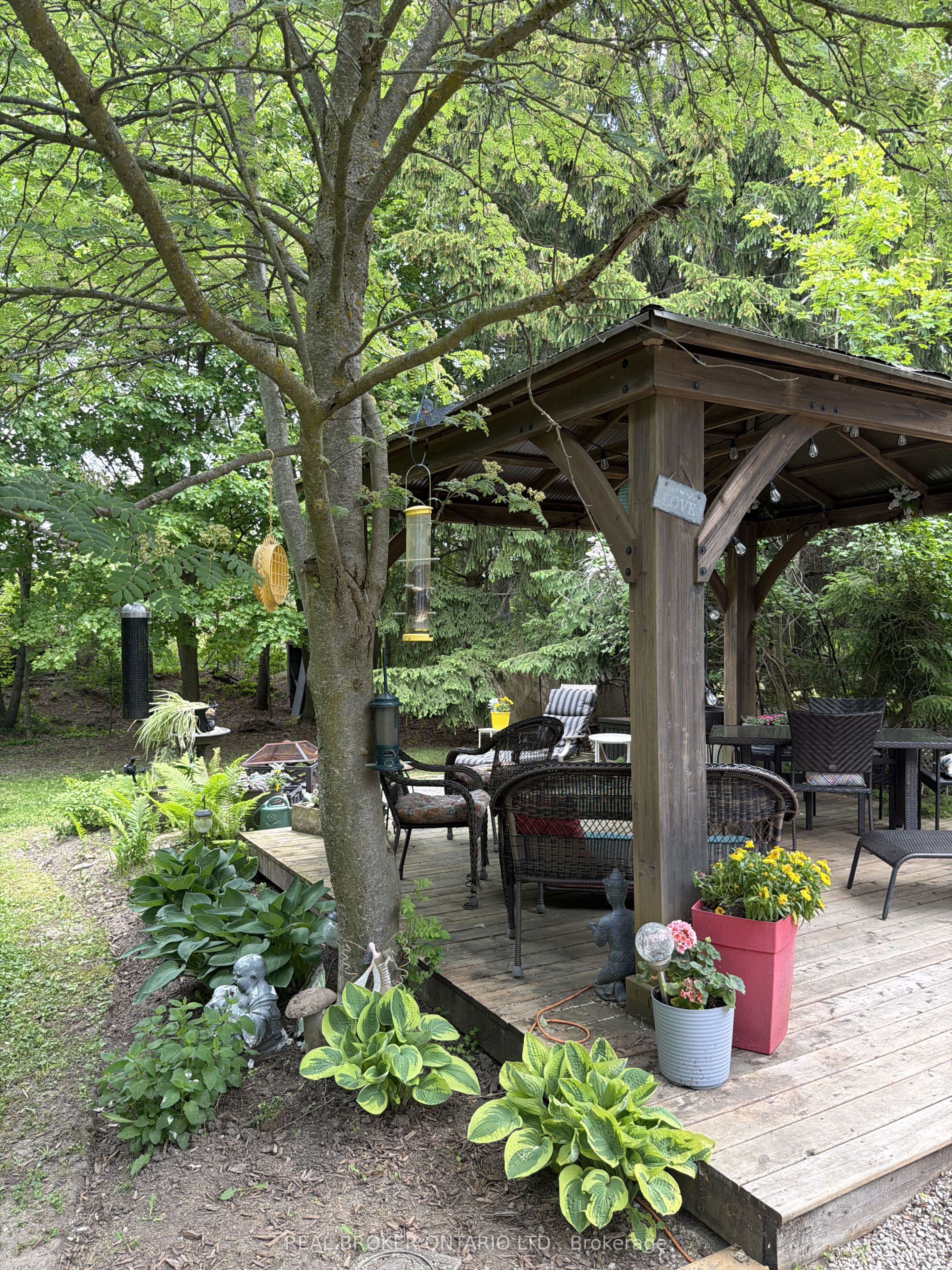 Listing 231105 Image