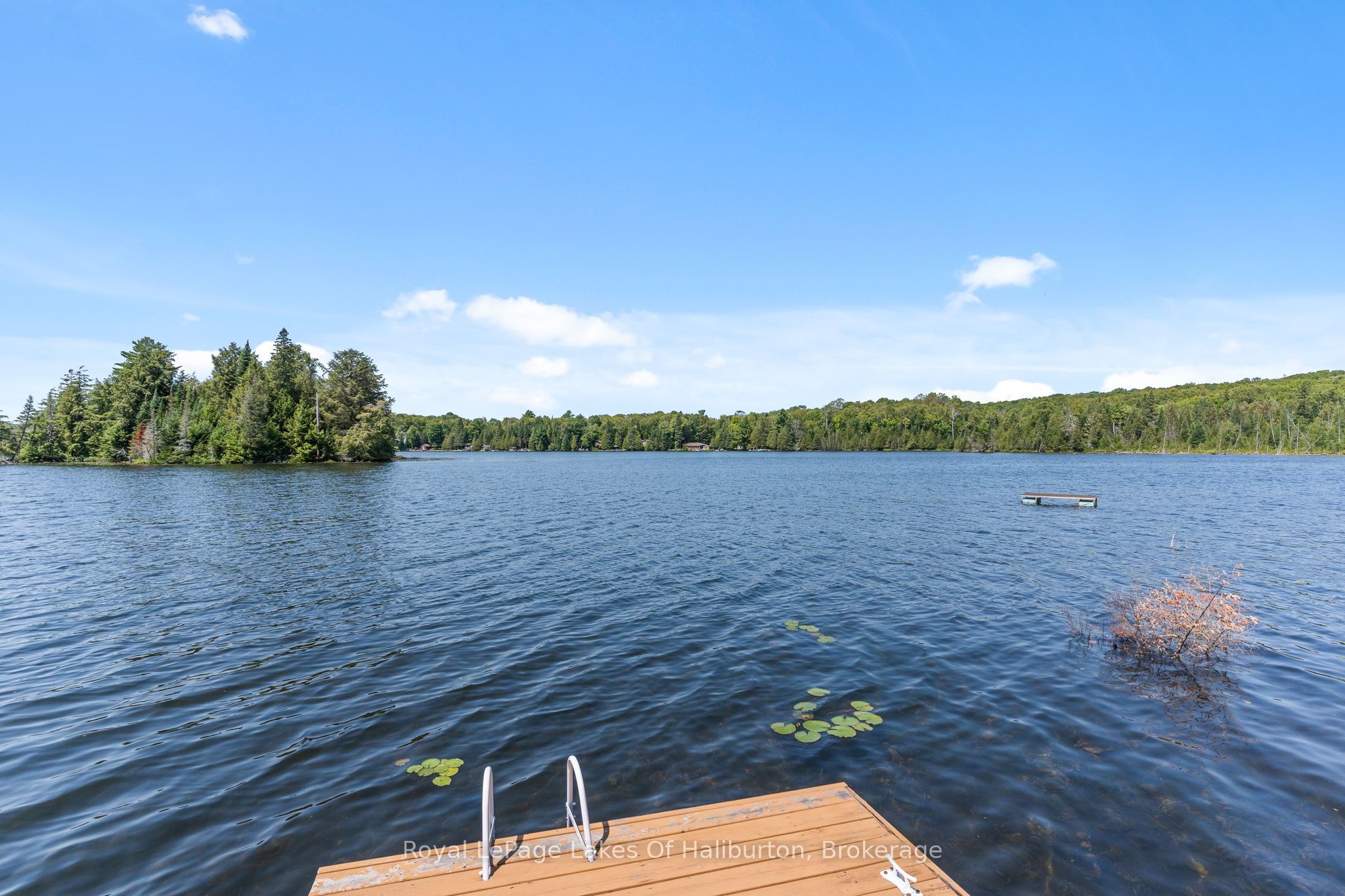 Listing 239391 Image