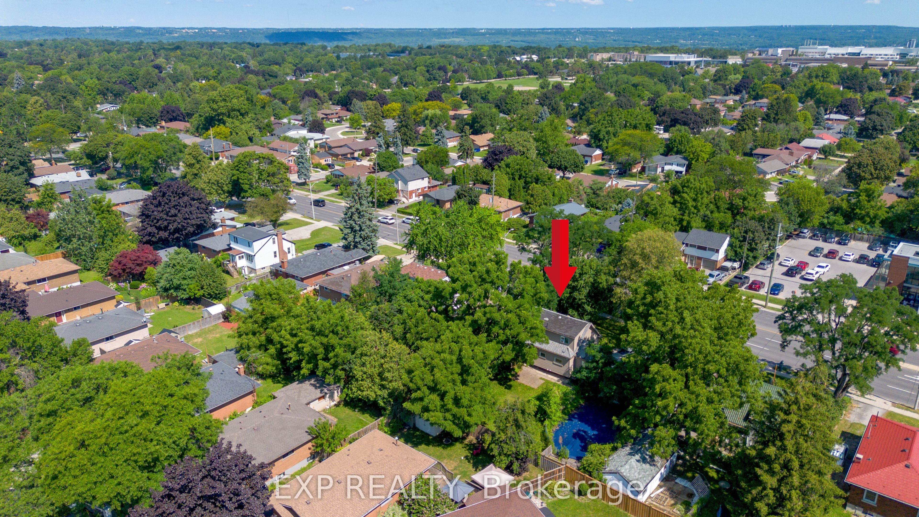 Main Property