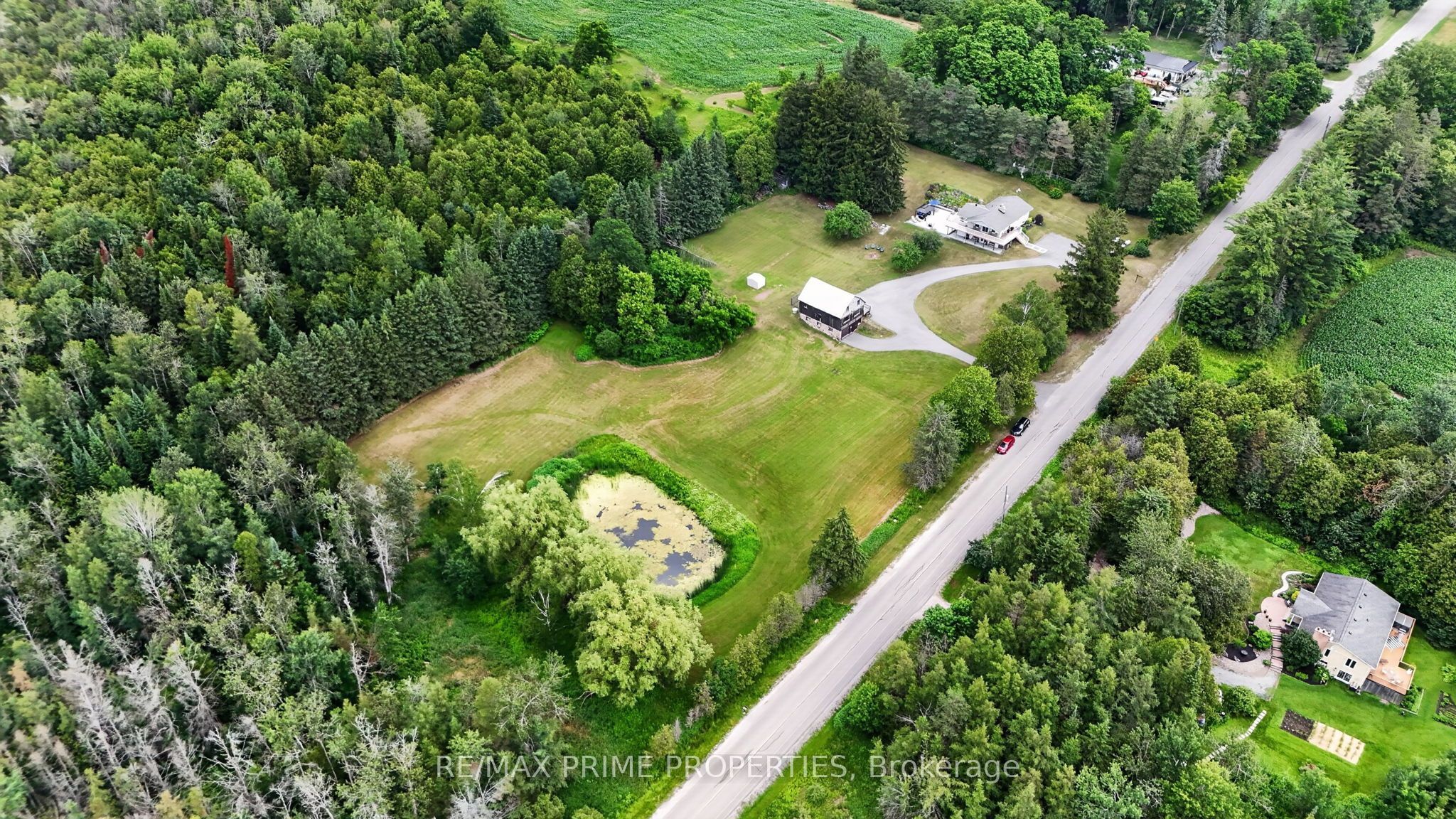 Main Property