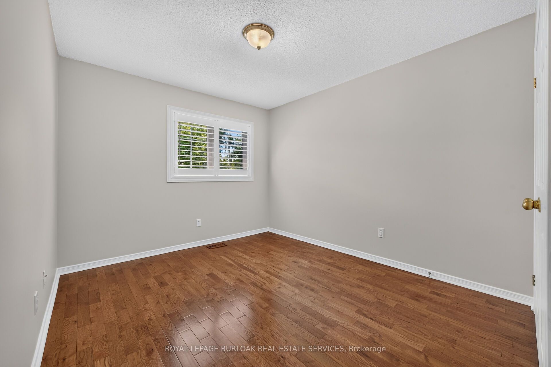 Listing 244805 Image