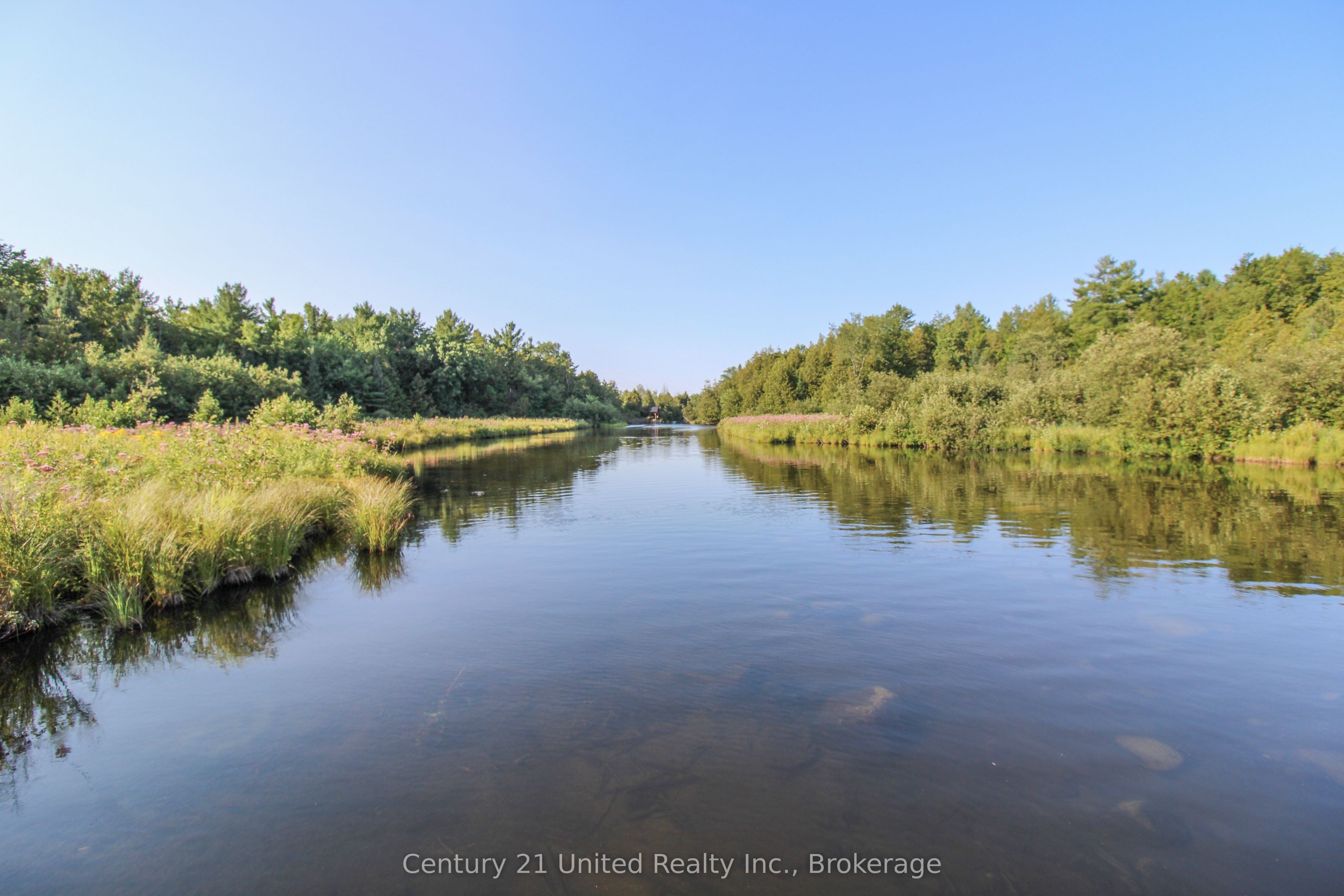 Listing 235055 Image