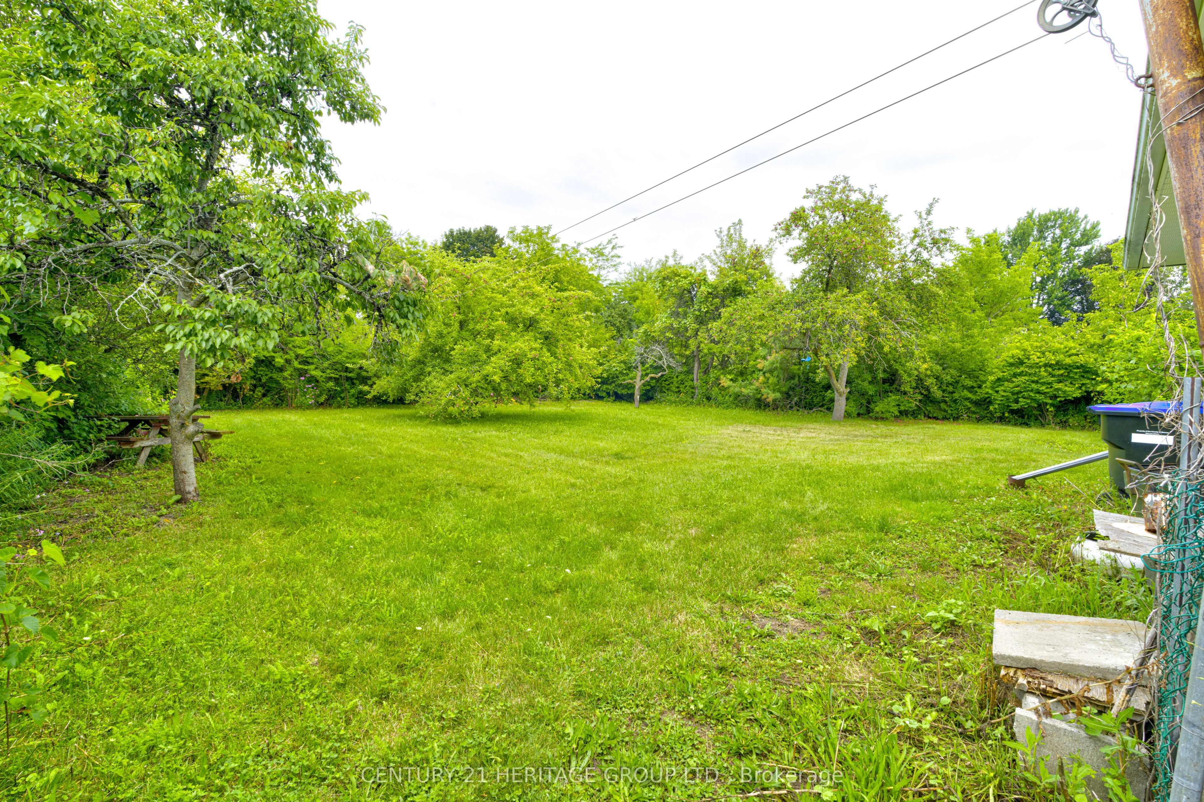 Listing 237820 Image