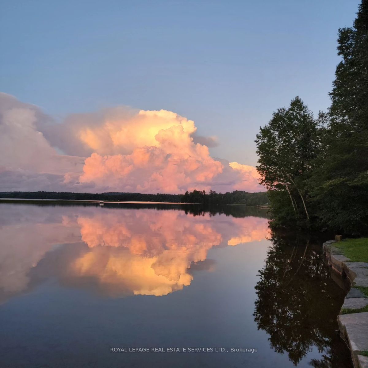 Listing 231810 Image