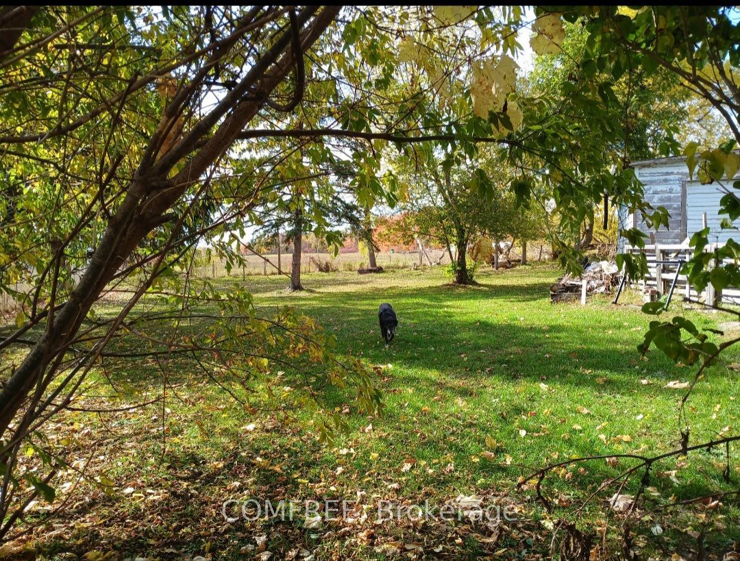 Listing 236772 Image