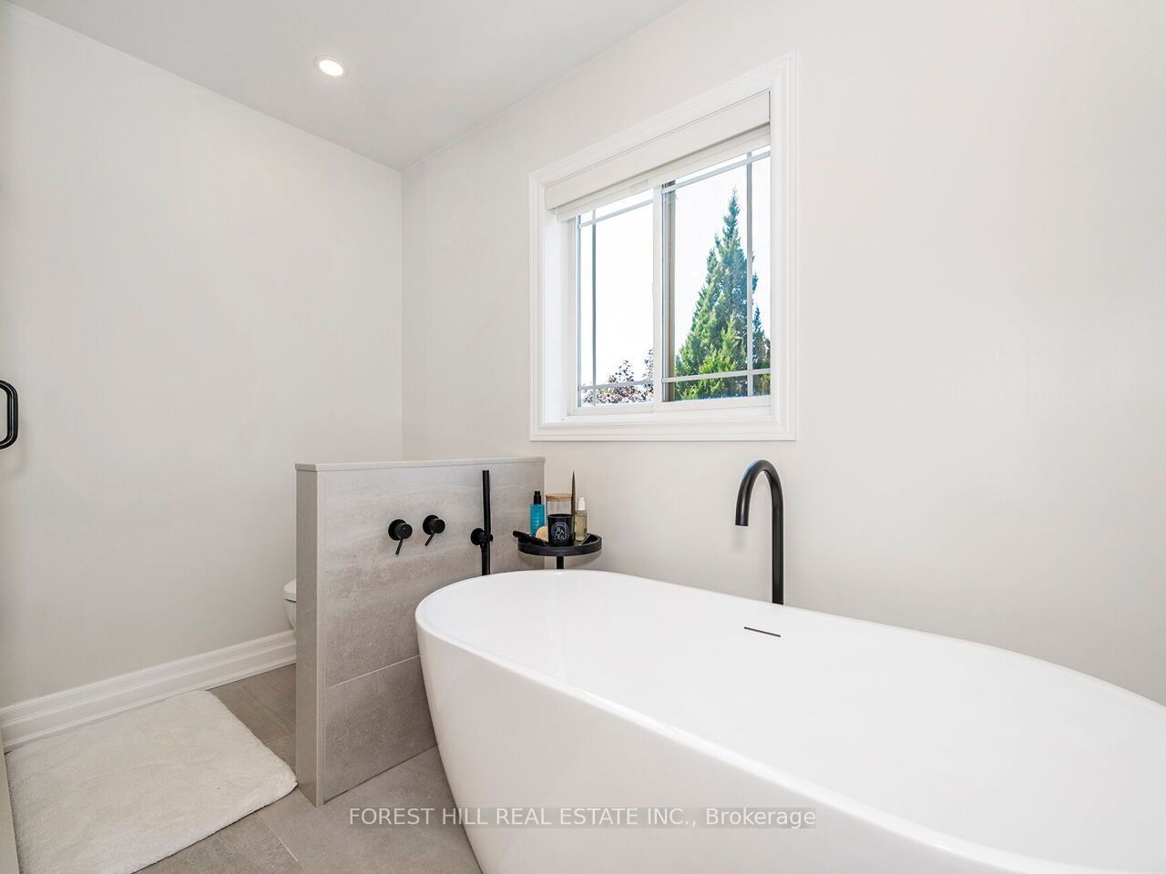 Listing 235558 Image