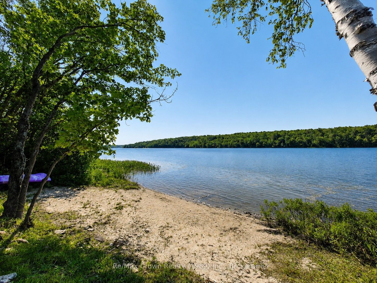 Listing 237475 Image